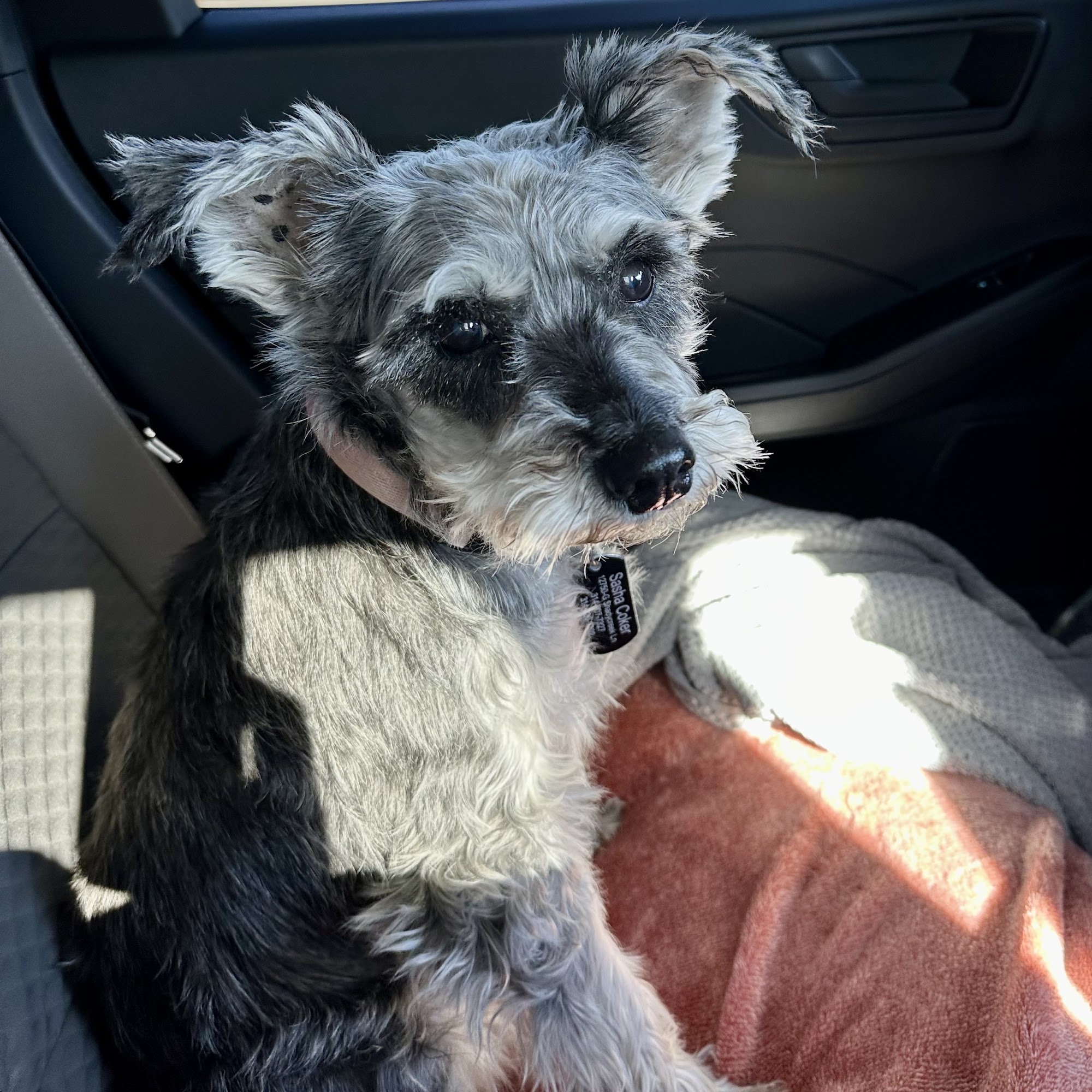 Bridgeton Animal Hospital Bridgeton