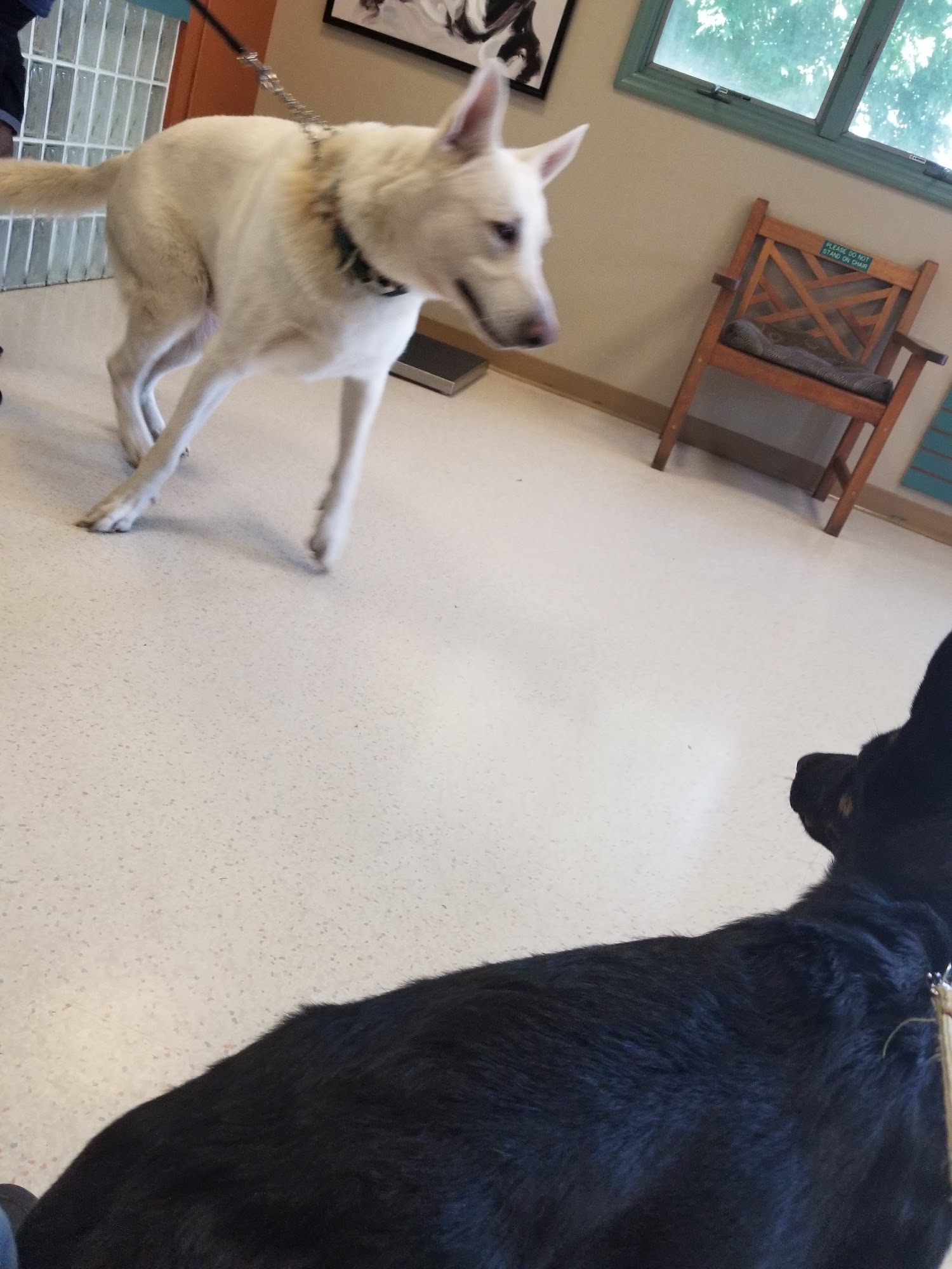 Bridgeton Animal Hospital Bridgeton