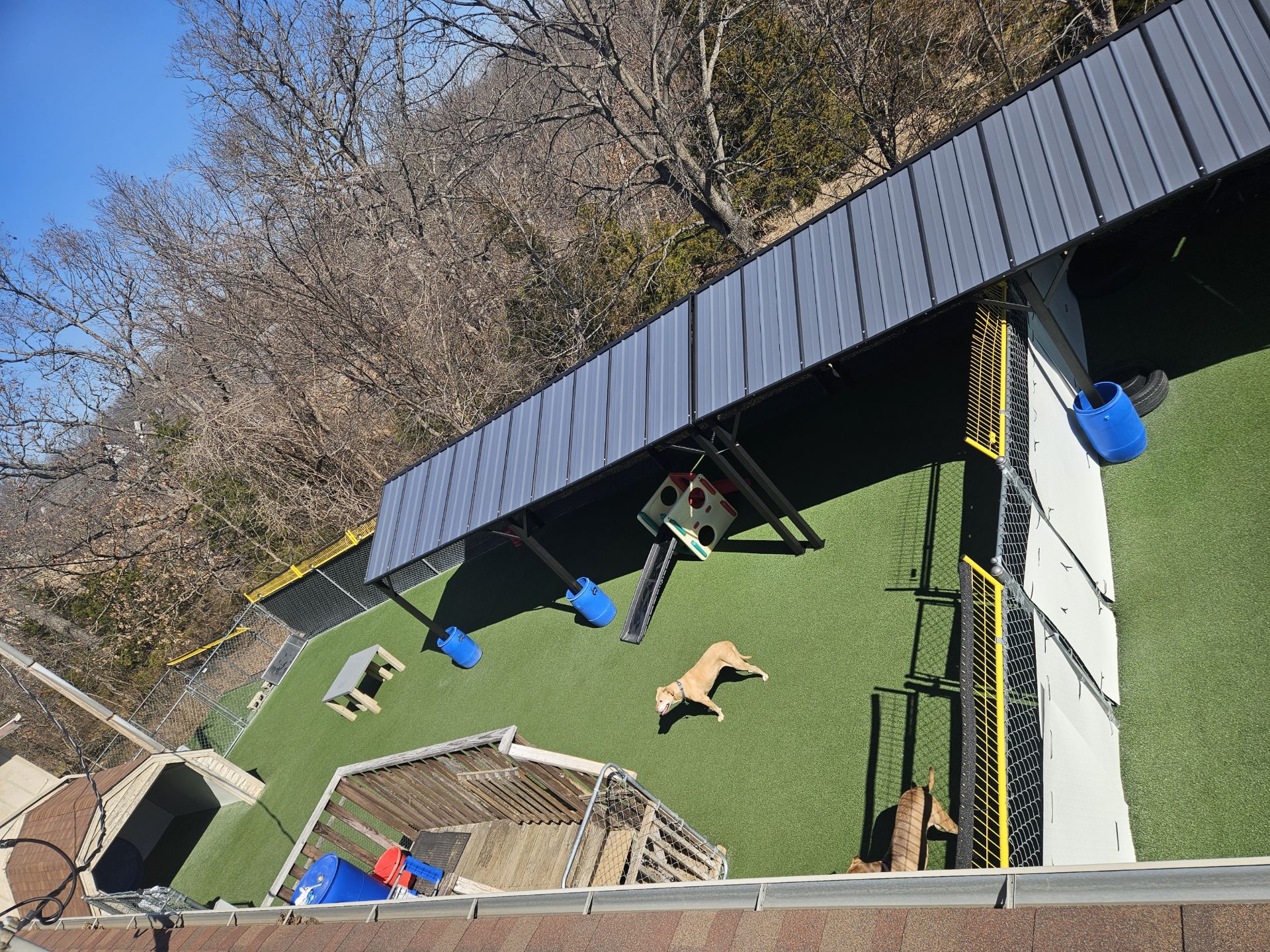 MegaPaws Doggie Daycare LLC Camdenton