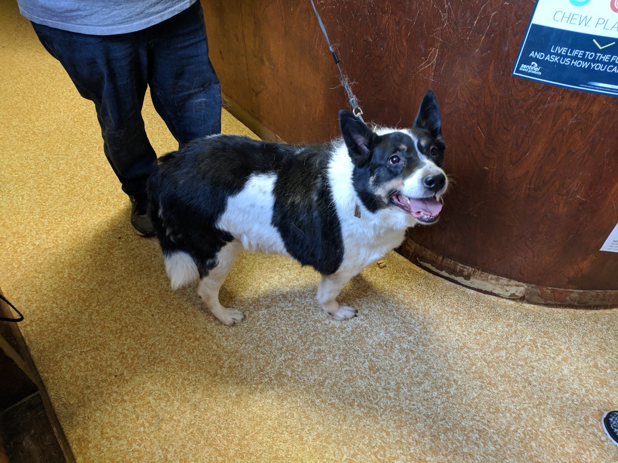 Cameron Veterinary Clinic Cameron