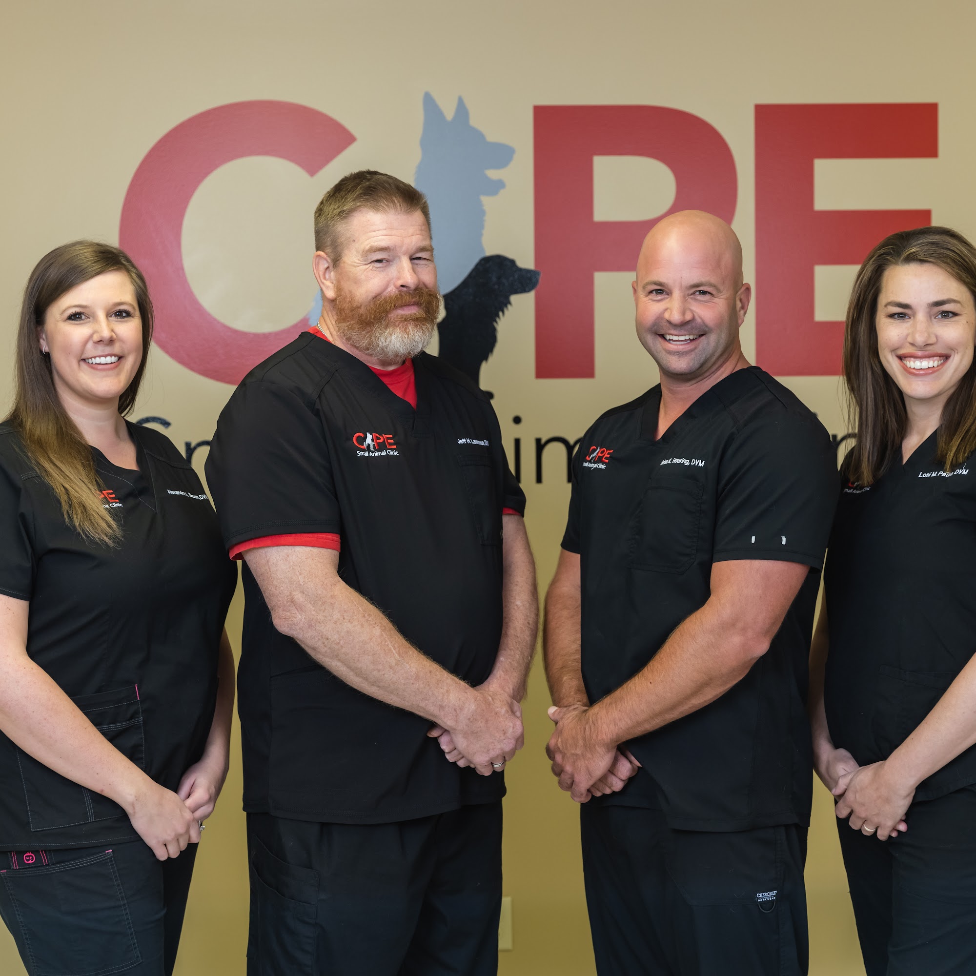 Cape Small Animal Clinic Cape Girardeau