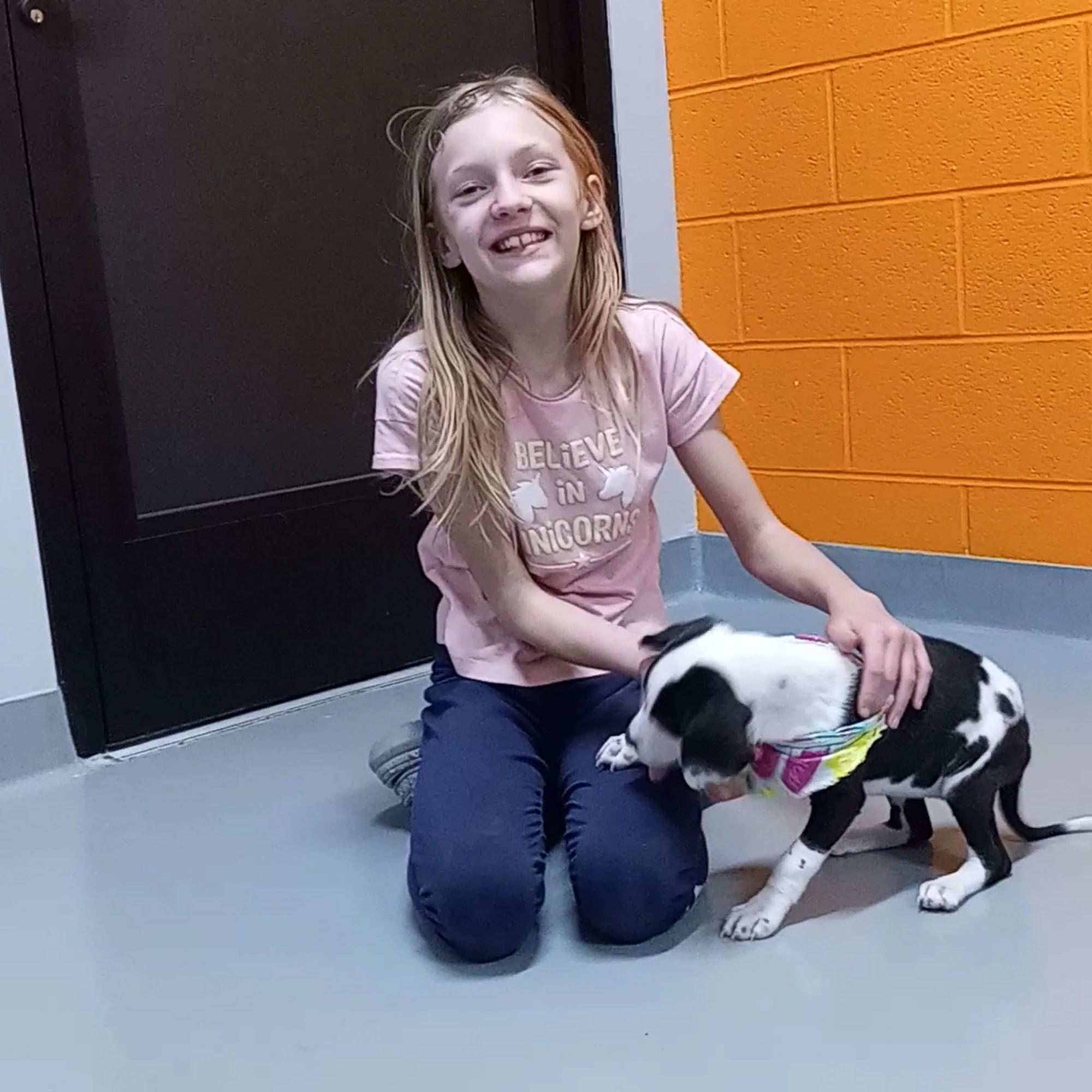 Southeast Missouri Pets Cape Girardeau