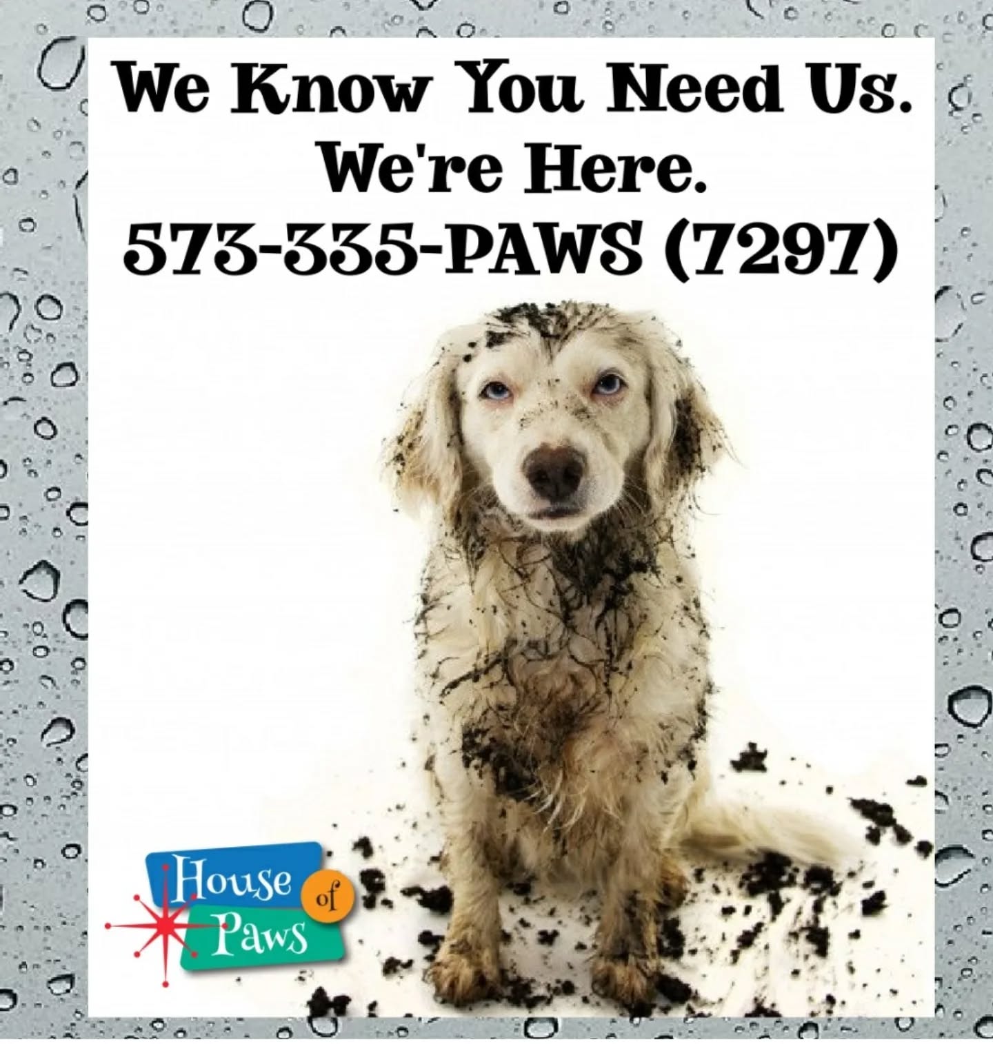 House Of Paws Cape Girardeau