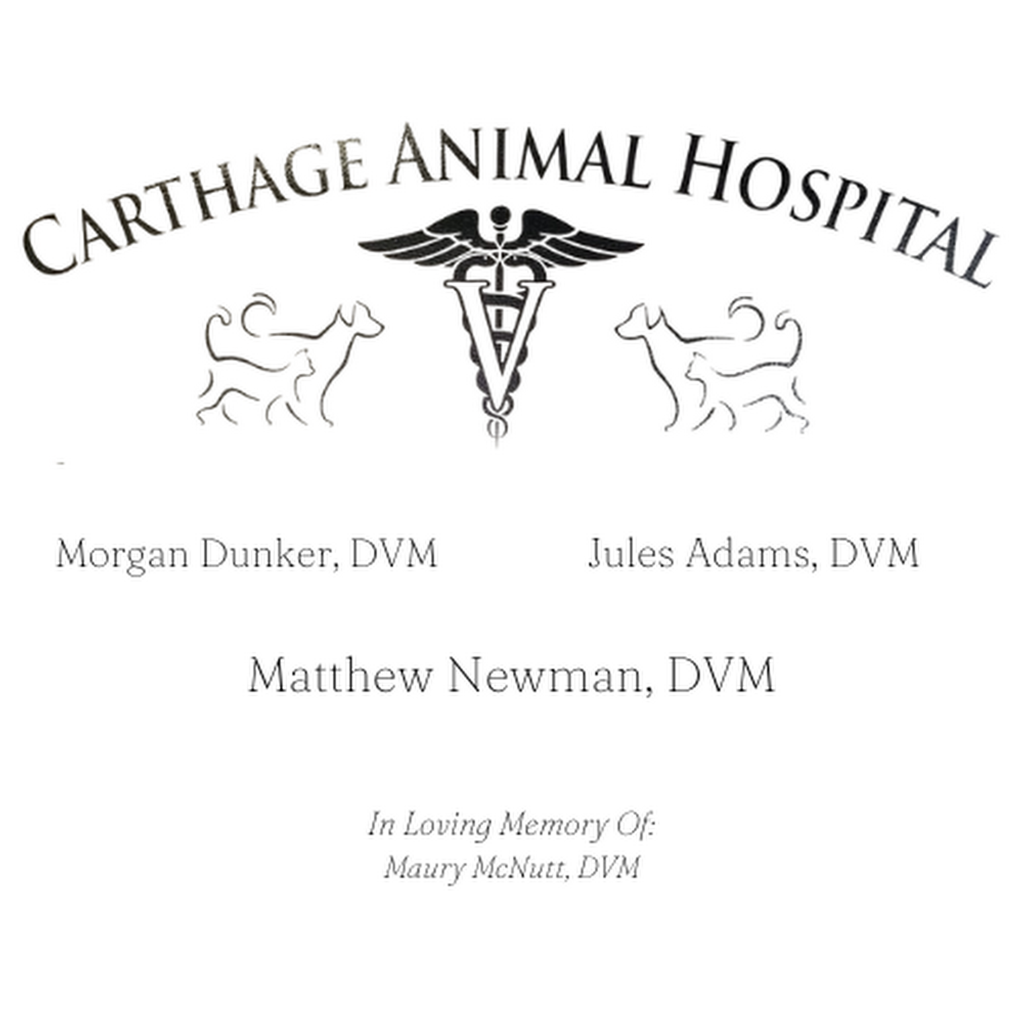 Carthage Animal Hospital Carthage