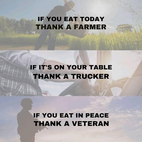 Freight Logistics & Transportation