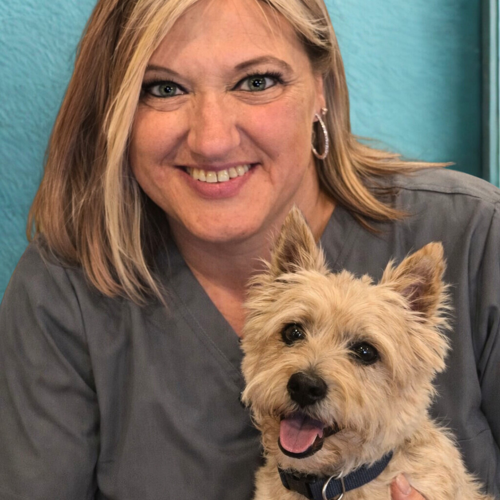 Veterinary Care Center- Urgent & Wellness Care Chesterfield