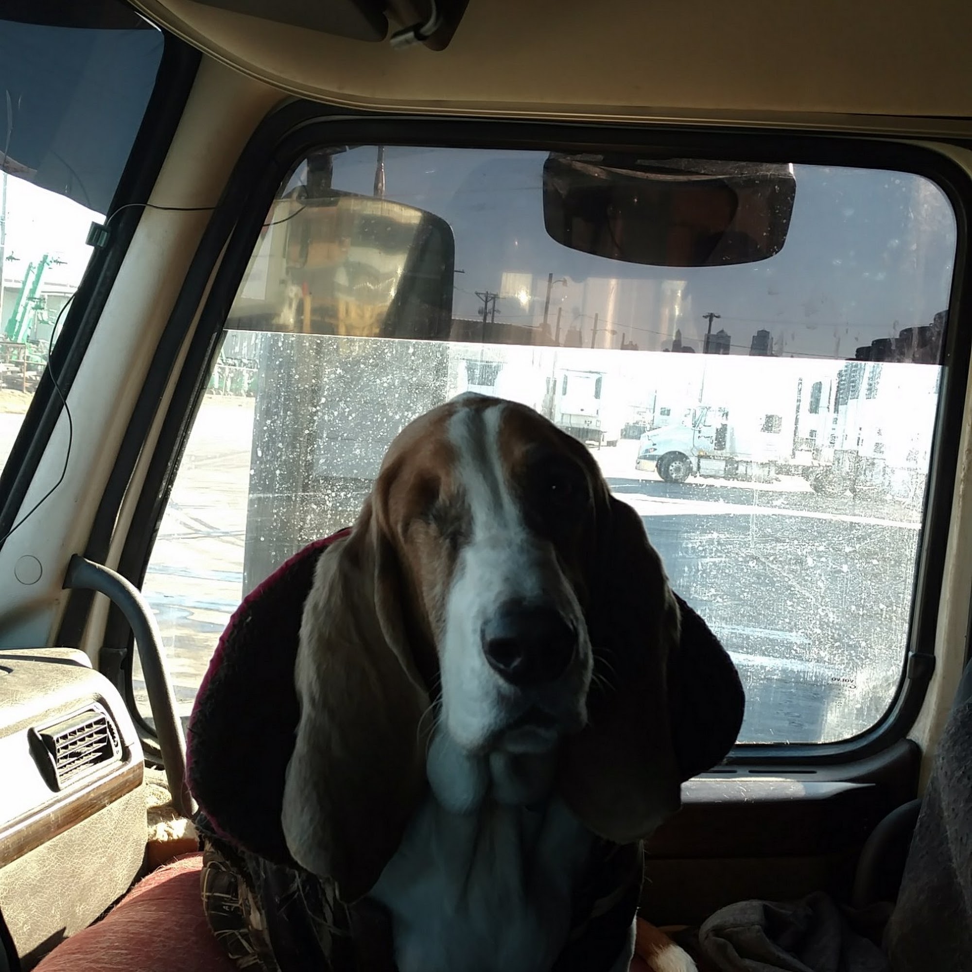 Young Veterinary Clinic Chillicothe