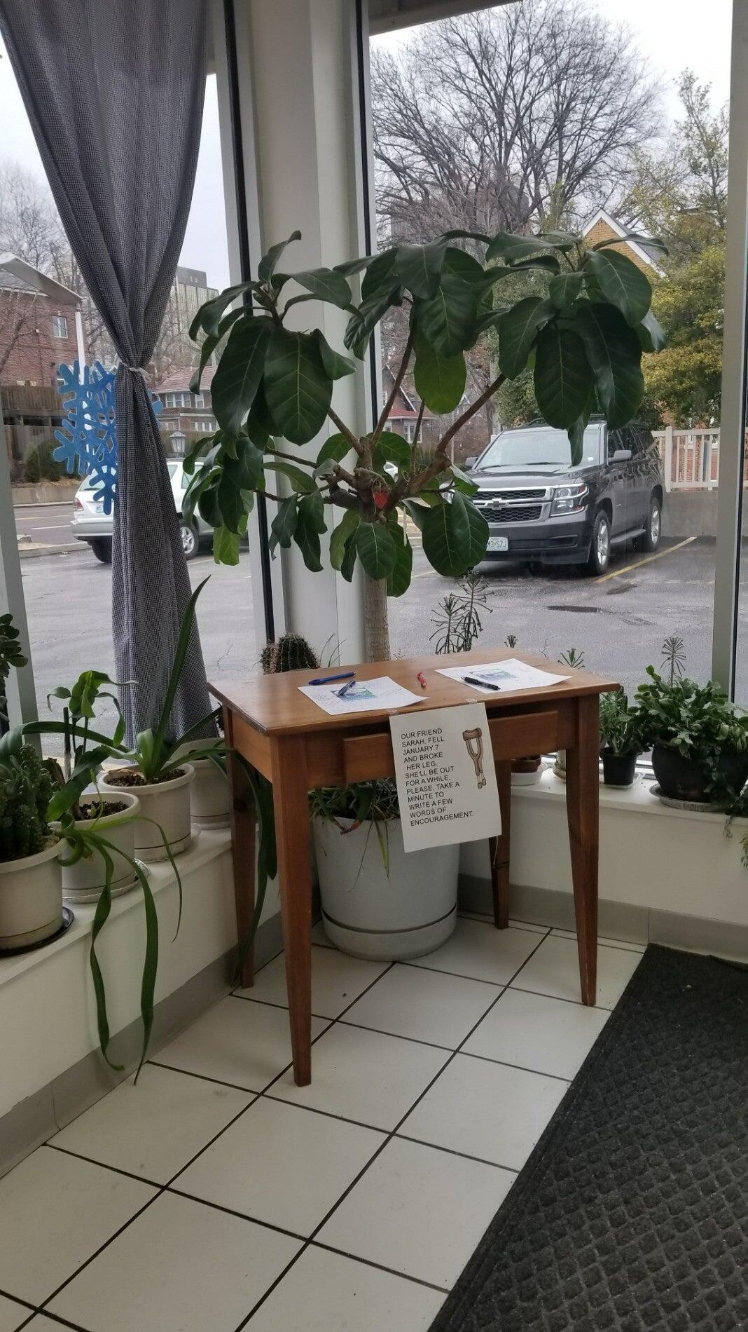 Photo credit: nextdoor