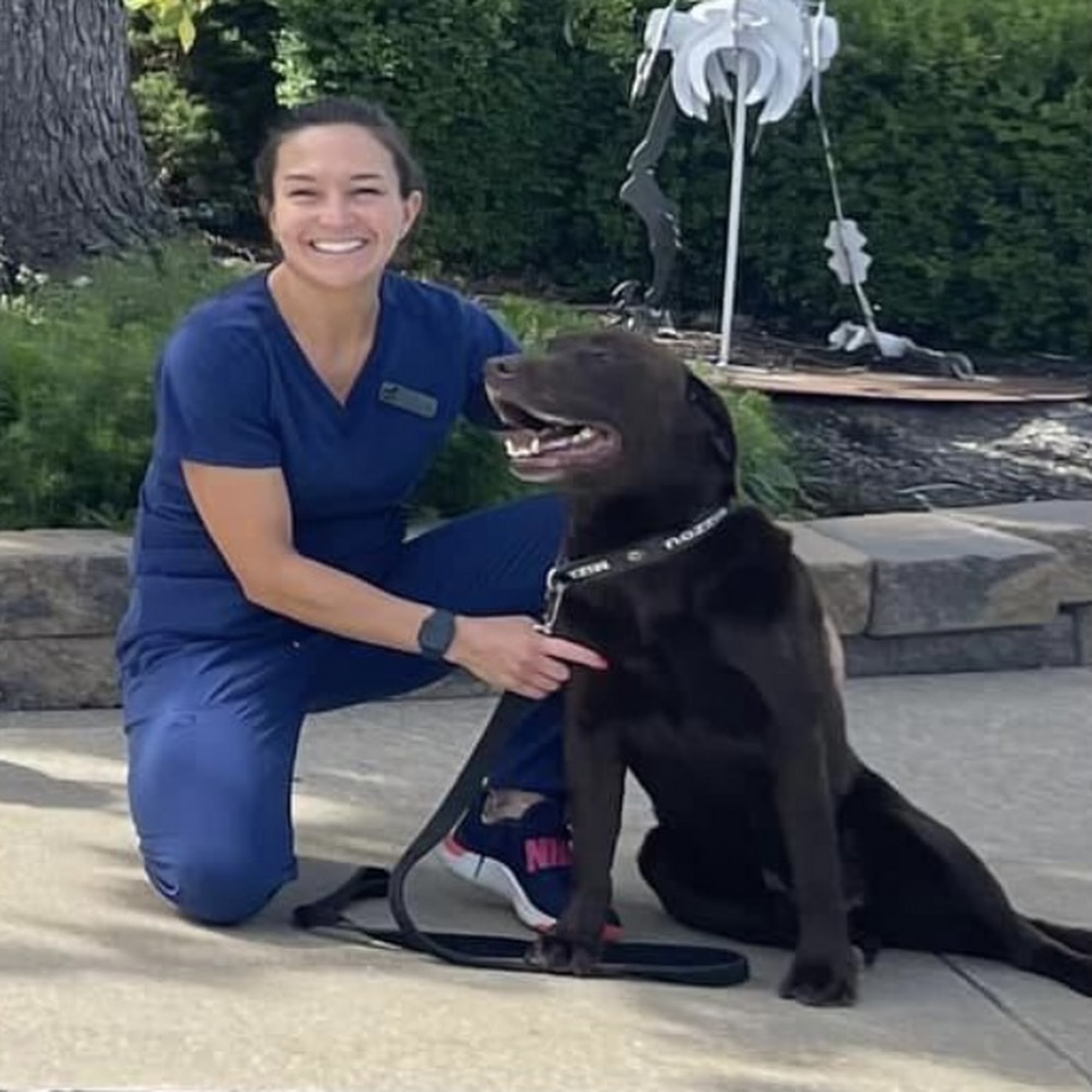 All Creatures Animal Hospital Columbia