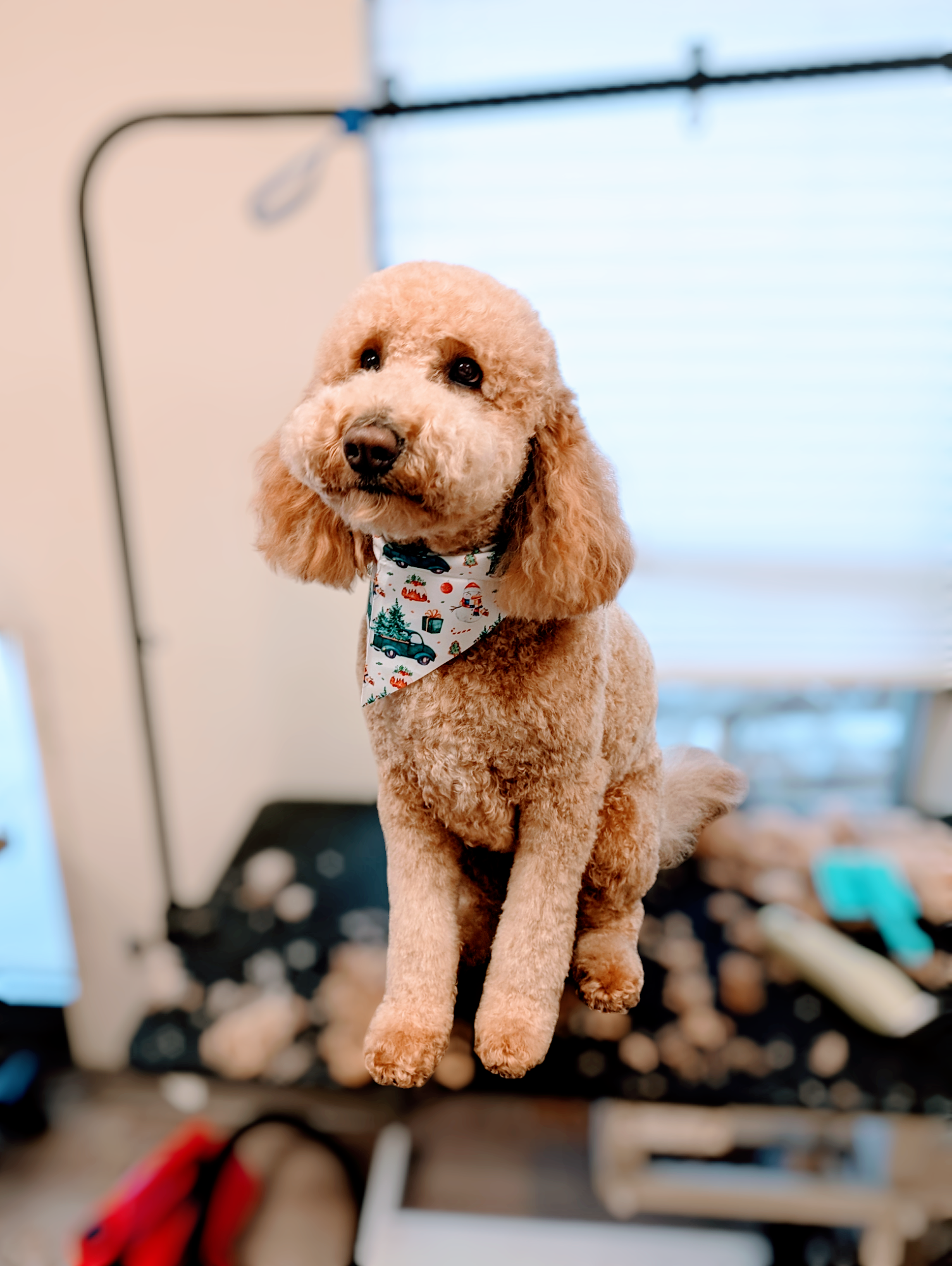 Photo credit: nextdoor