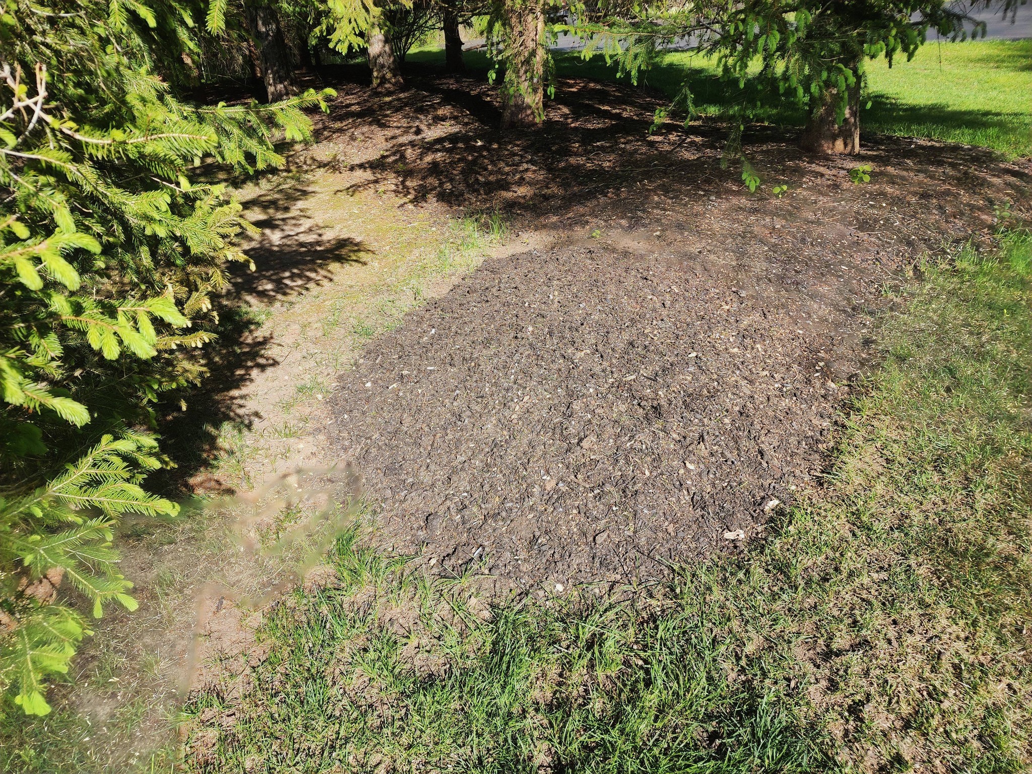 Eager Beaver Stump Removal Llc 1121 W Stewart Rd, Columbia Missouri 65203