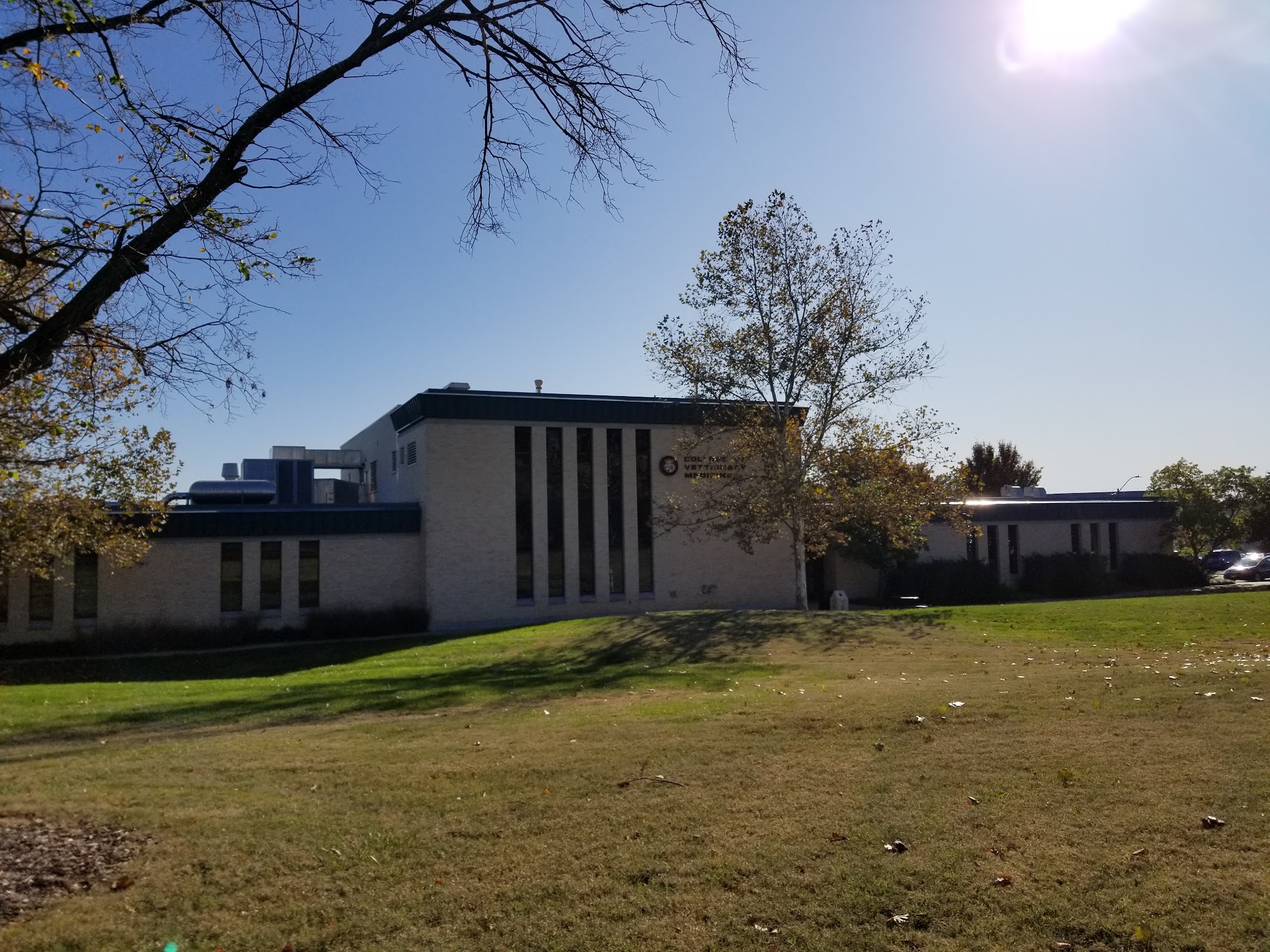 MIZZOU College of Veterinary Medicine Columbia