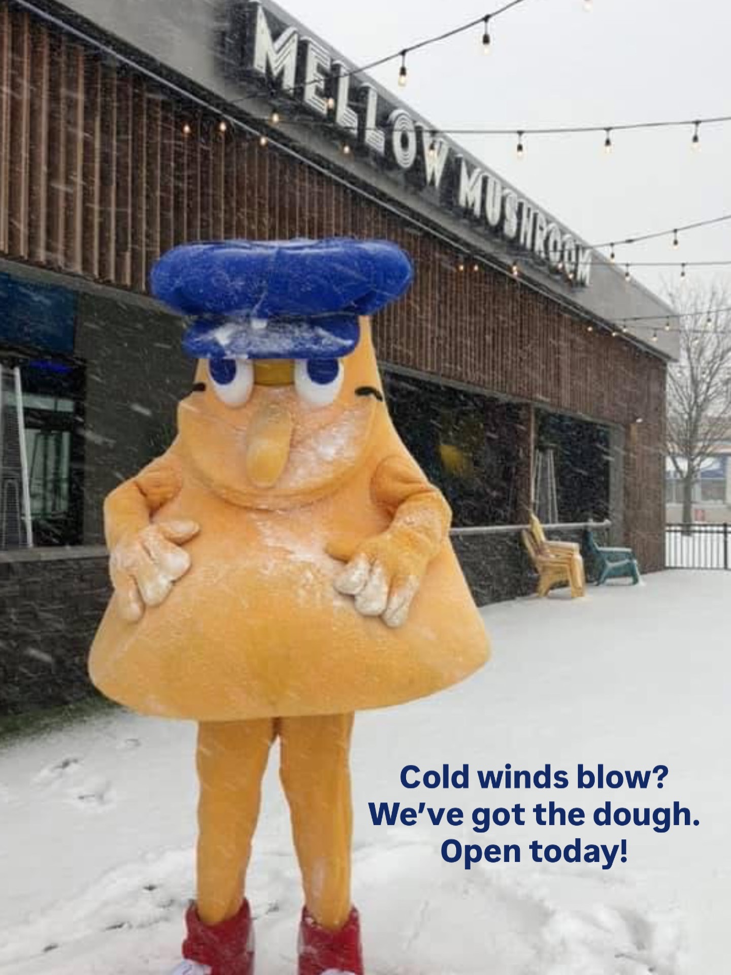 Mellow Mushroom Cottleville