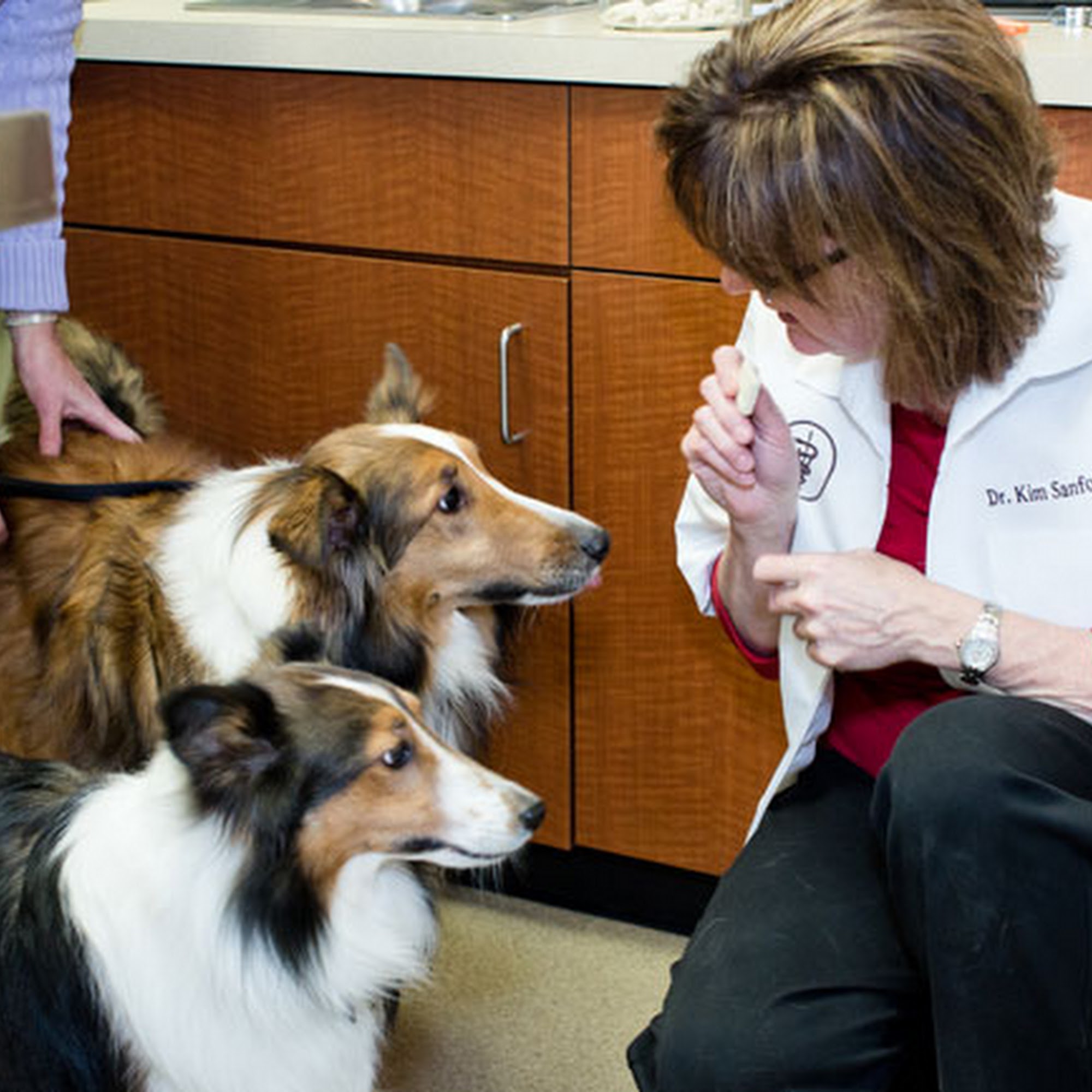 Heritage Veterinary Hospital Creve Coeur