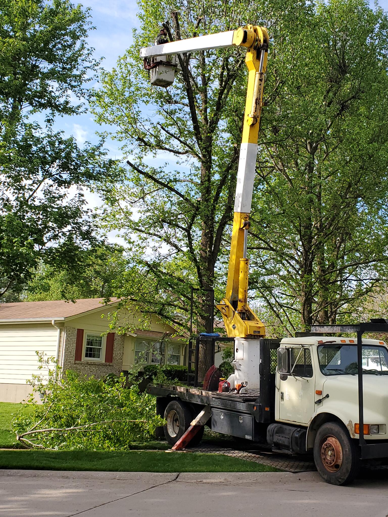 Photo credit: nextdoor