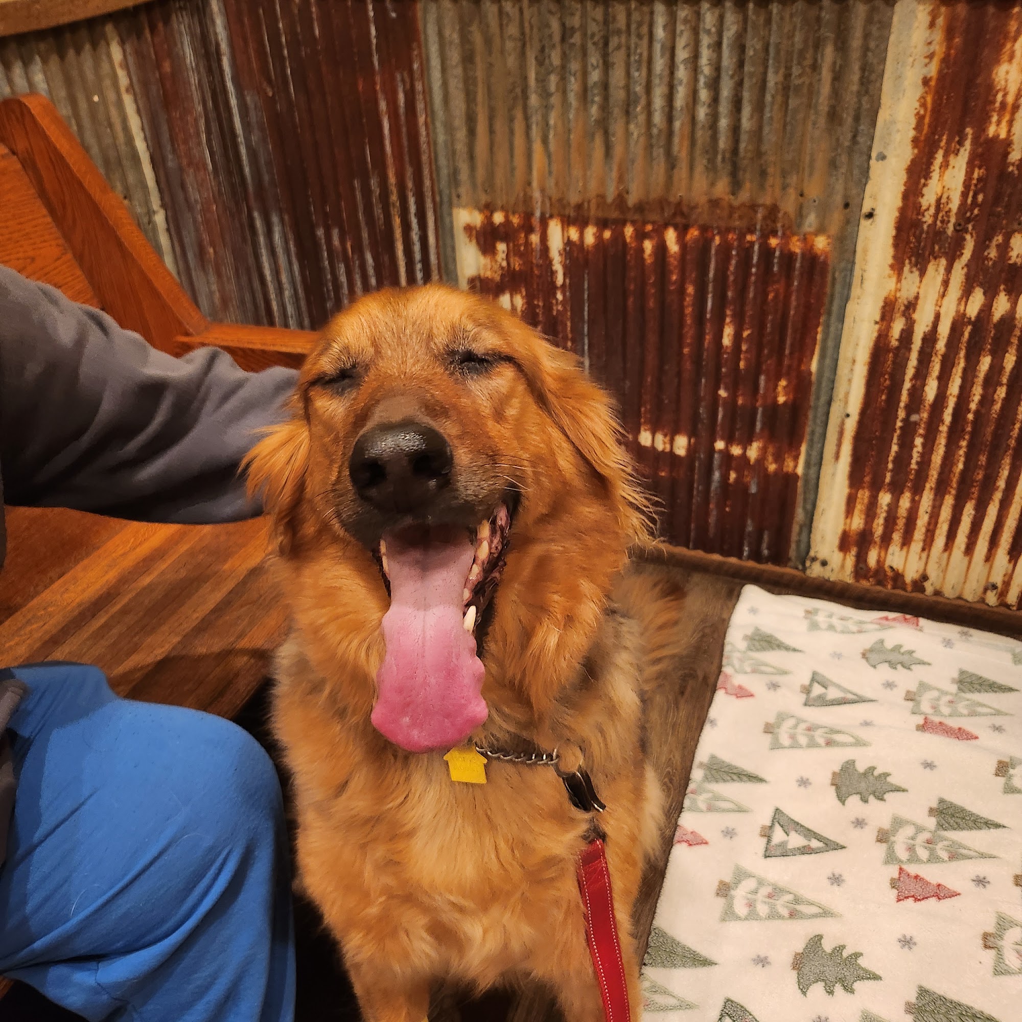 Lake Pet Hospital Inc Eldon