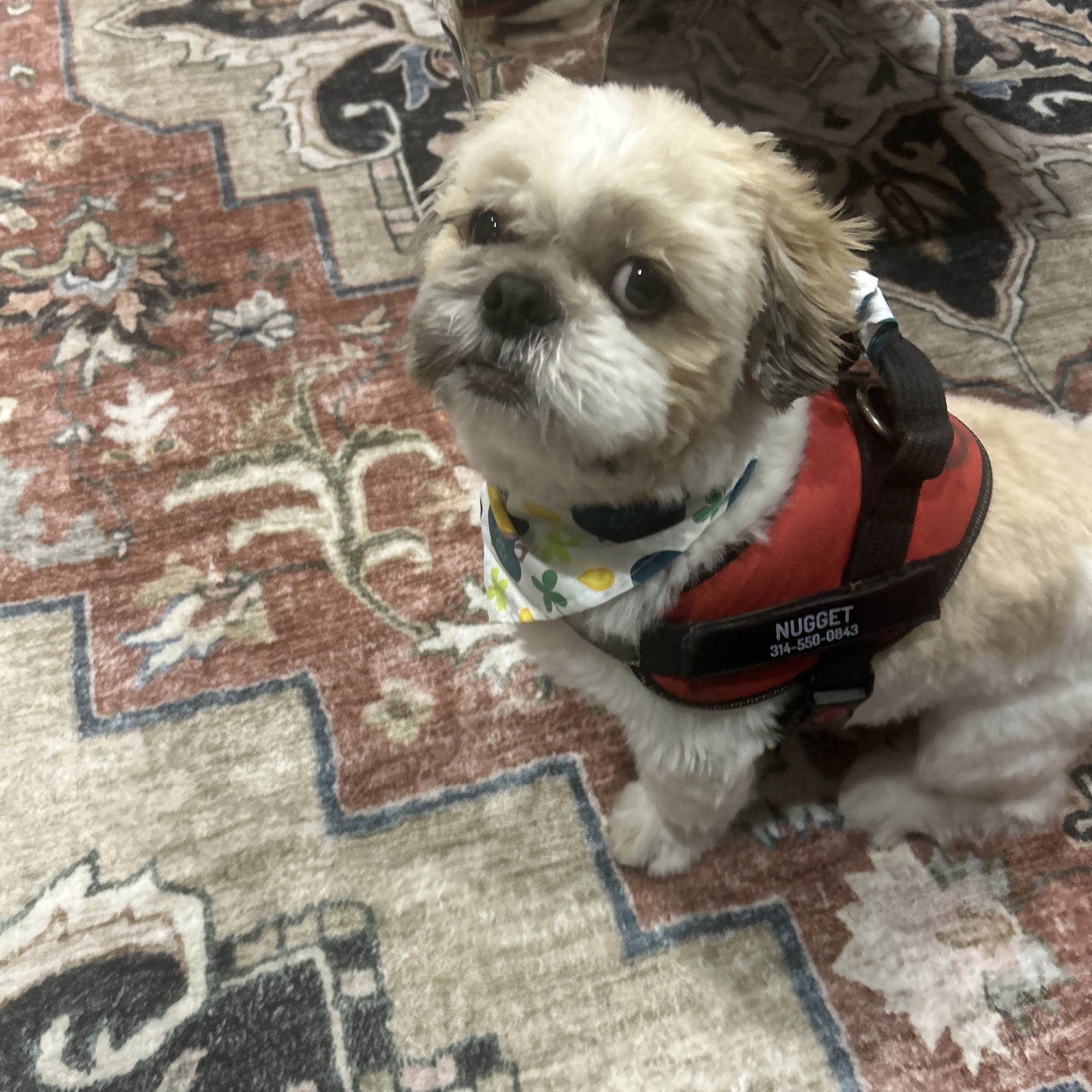 Ark Pet Center Ellisville