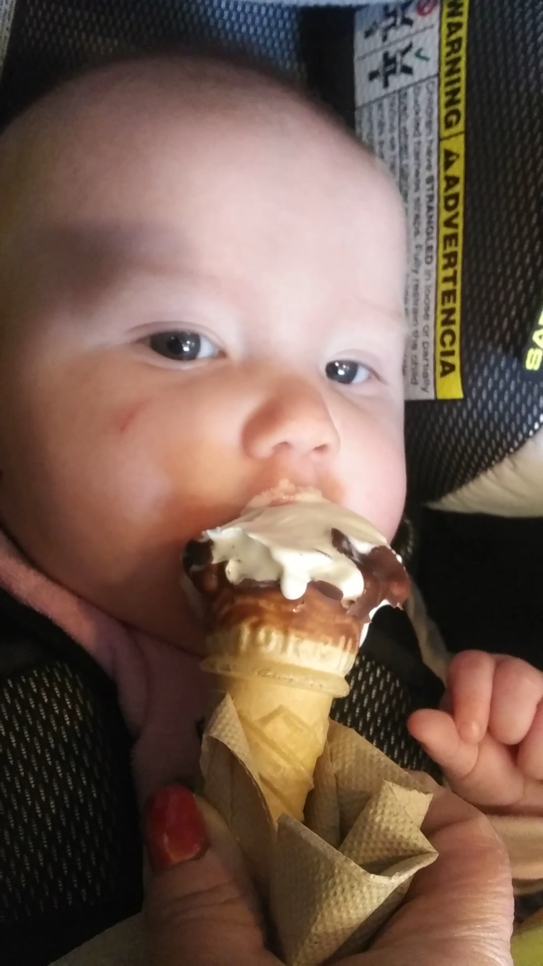 Lion's Choice - Eureka Menu