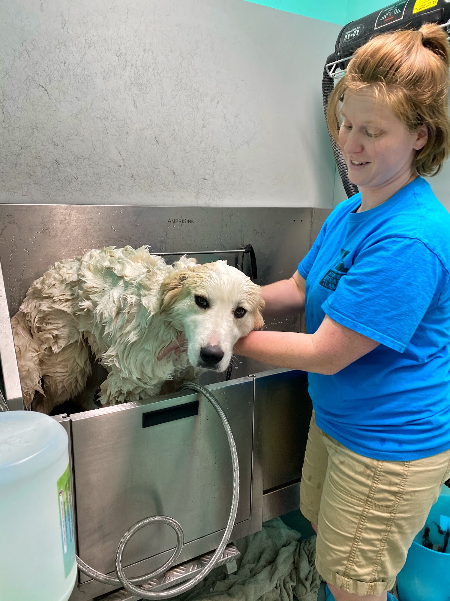 K-9 Clips Stay and Play Excelsior Springs