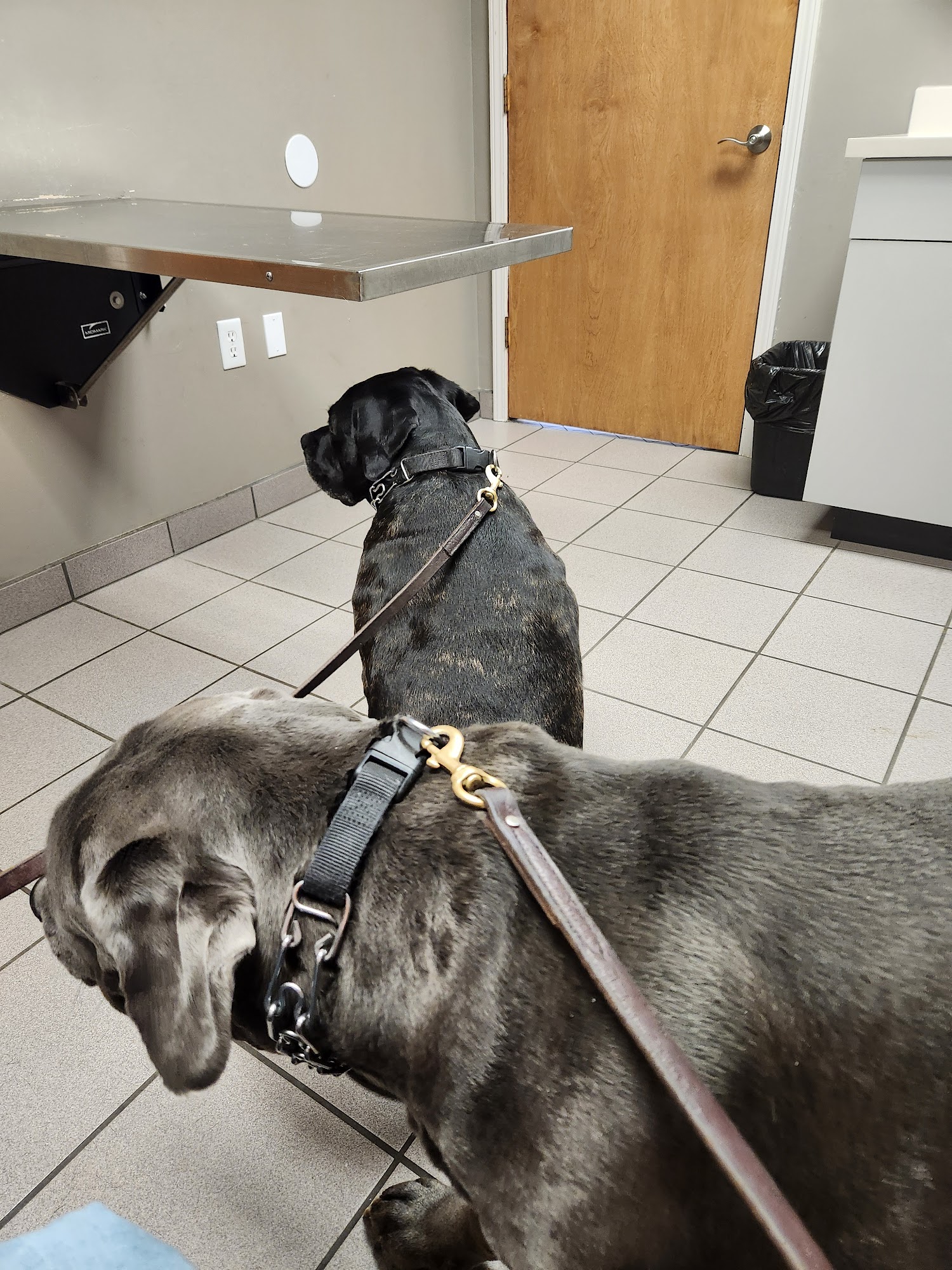 Fair Grove Veterinary Services Fair Grove