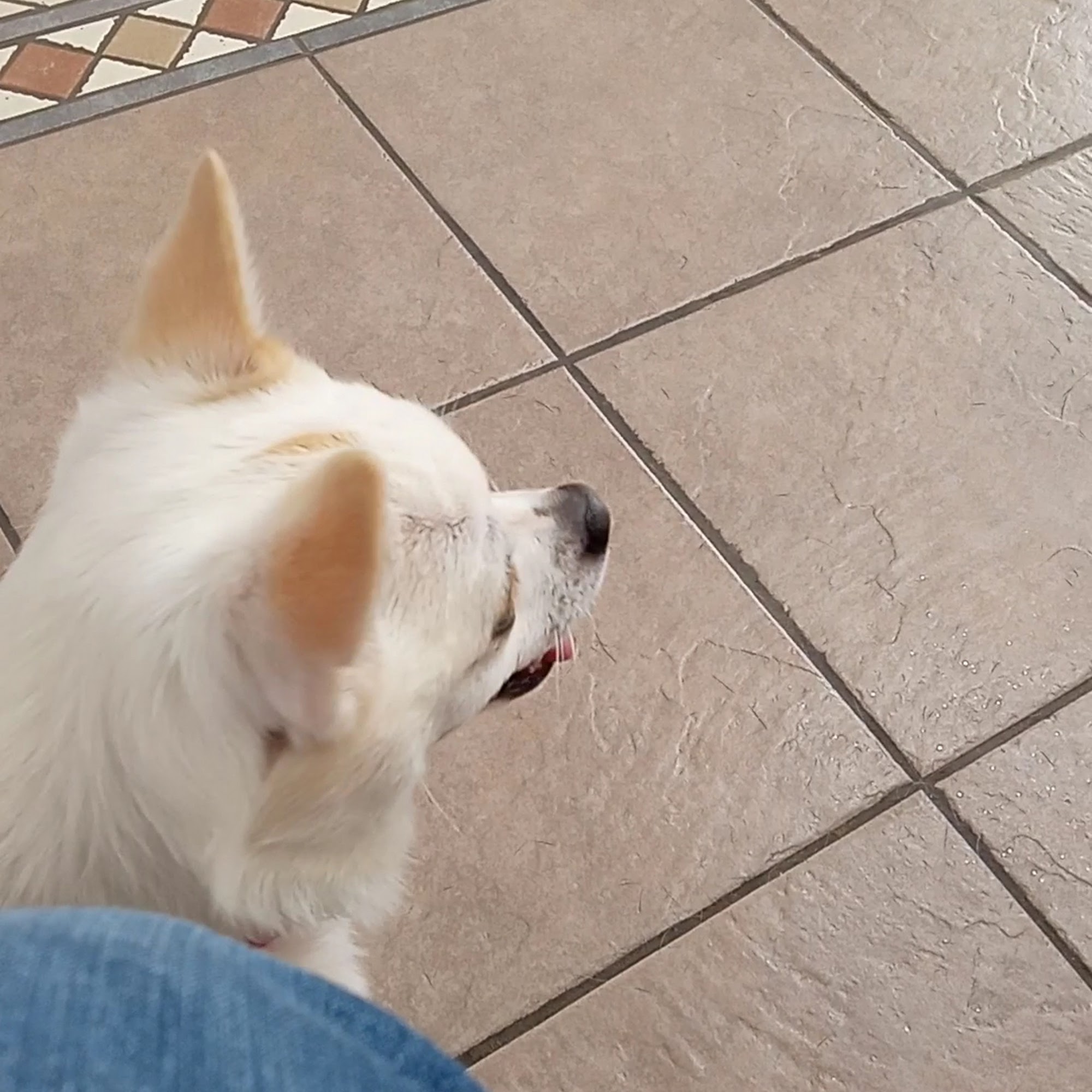 Veterinary Clinic Of The Mineral Area Farmington