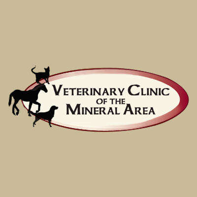 Veterinary Clinic-Mineral Area: Jackson Jill DVM Farmington