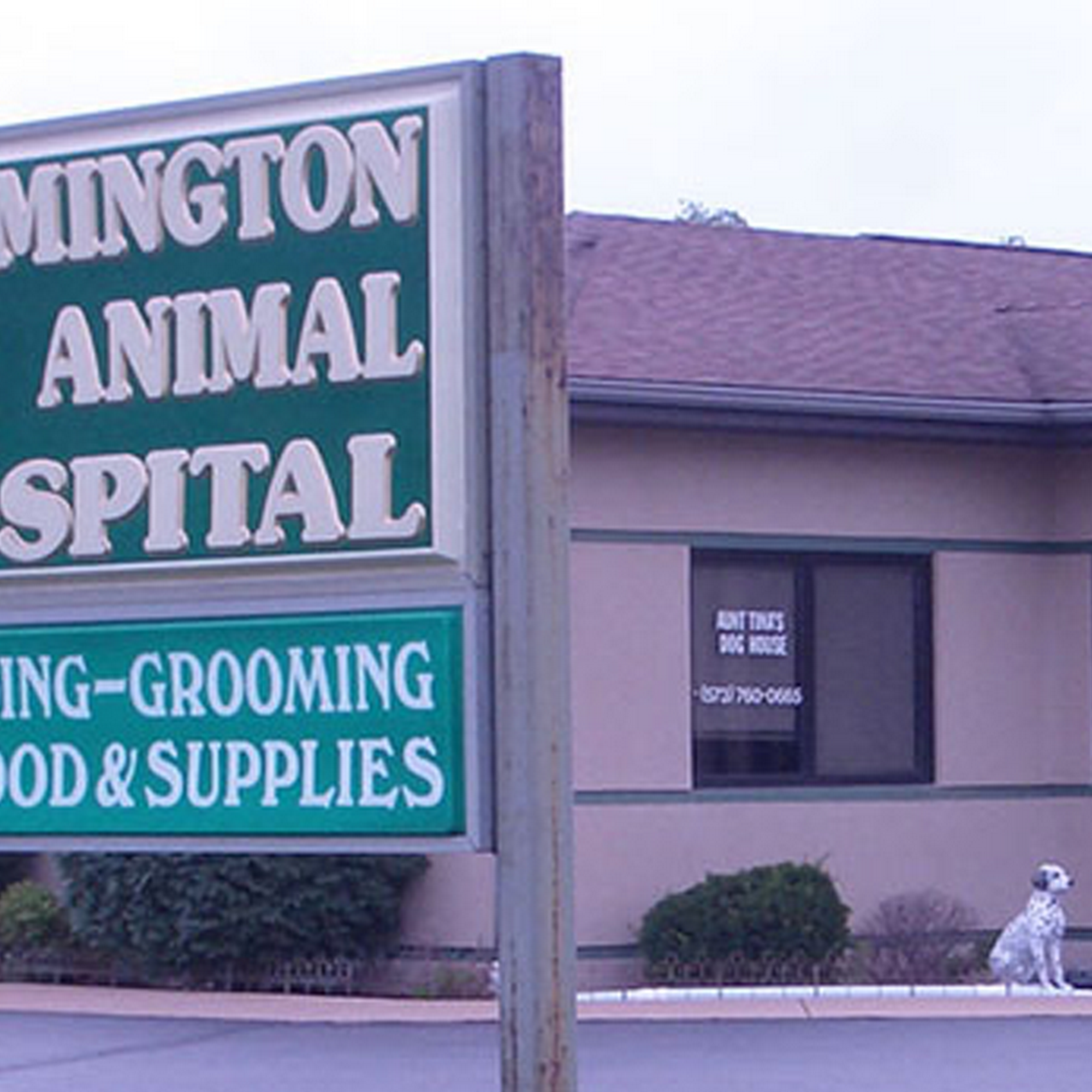 Farmington Animal Hospital Farmington