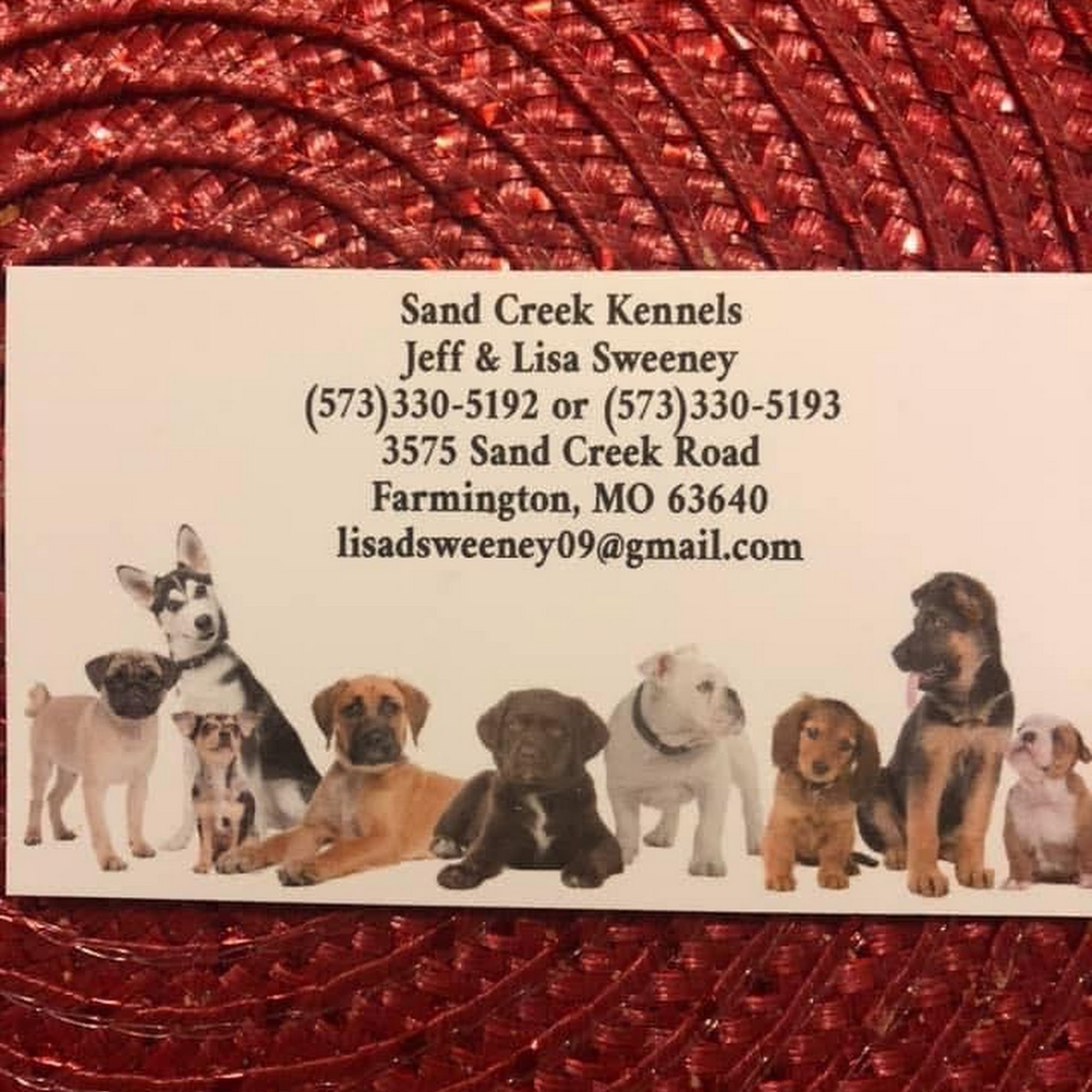 Sand Creek Kennels 3575 Sand Creek Rd, Farmington Missouri 63640