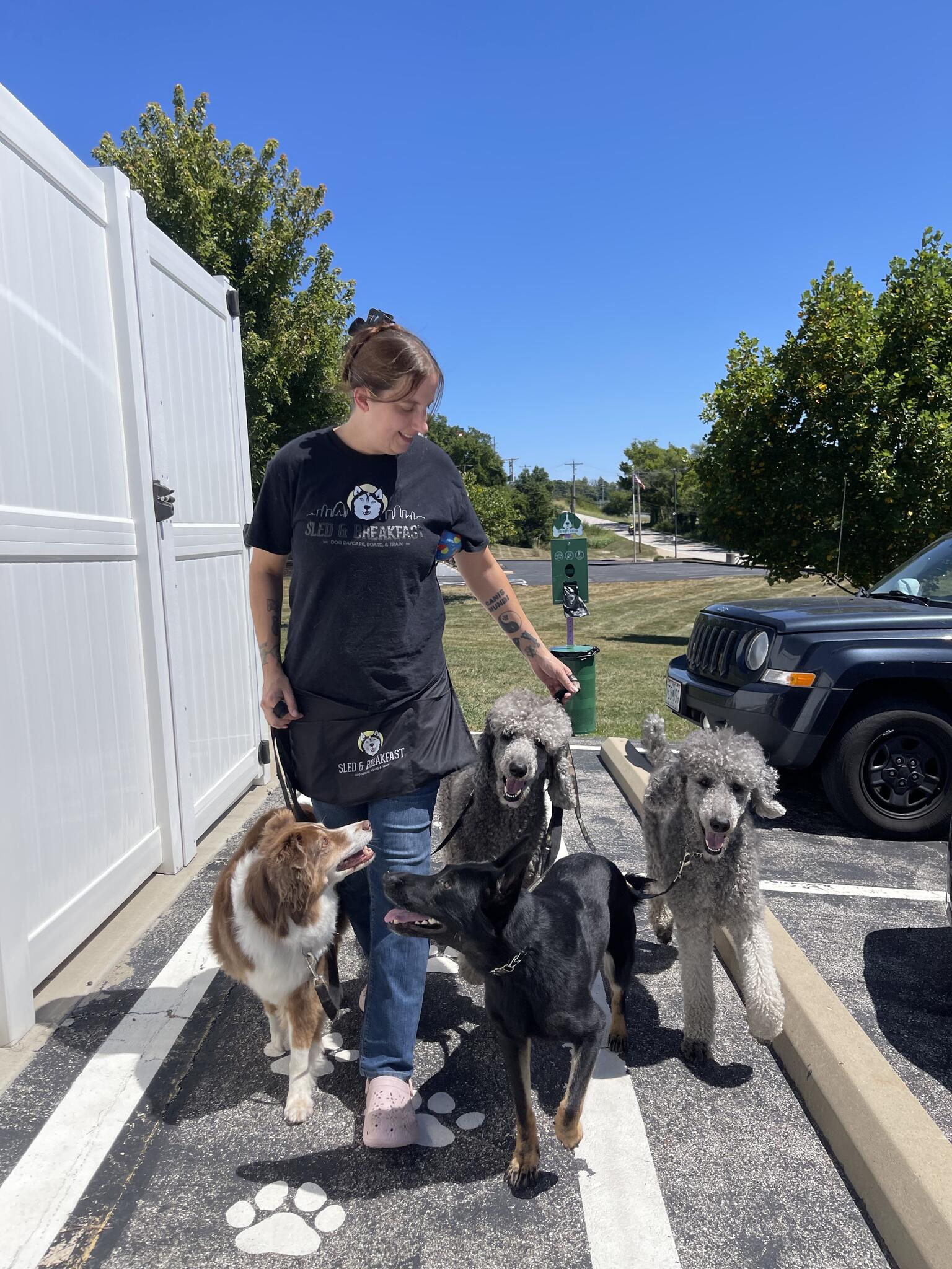 Sled & Breakfast Dog Daycare, Boarding, Training, & Grooming Fenton