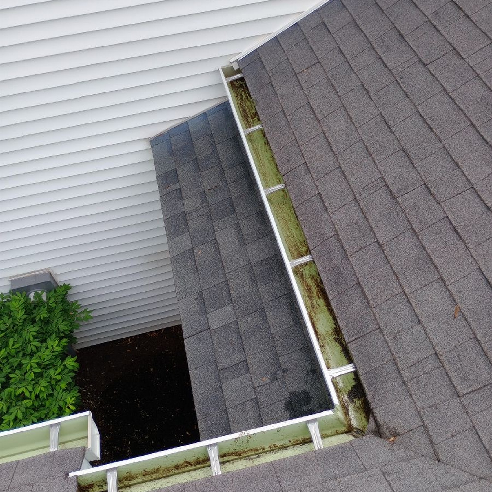 The Brothers That Just Do Gutters