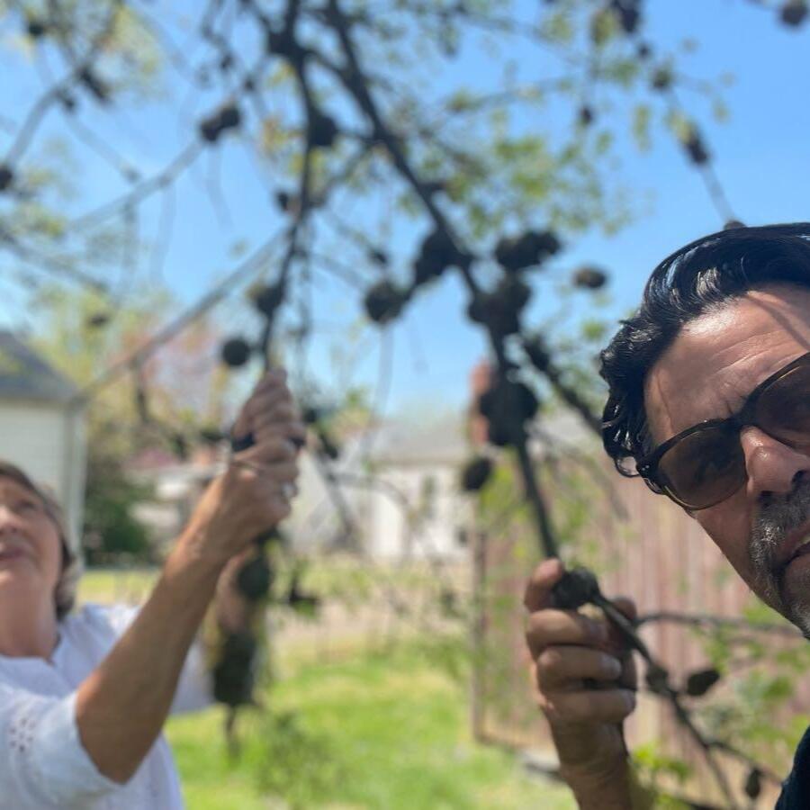 Photo credit: nextdoor