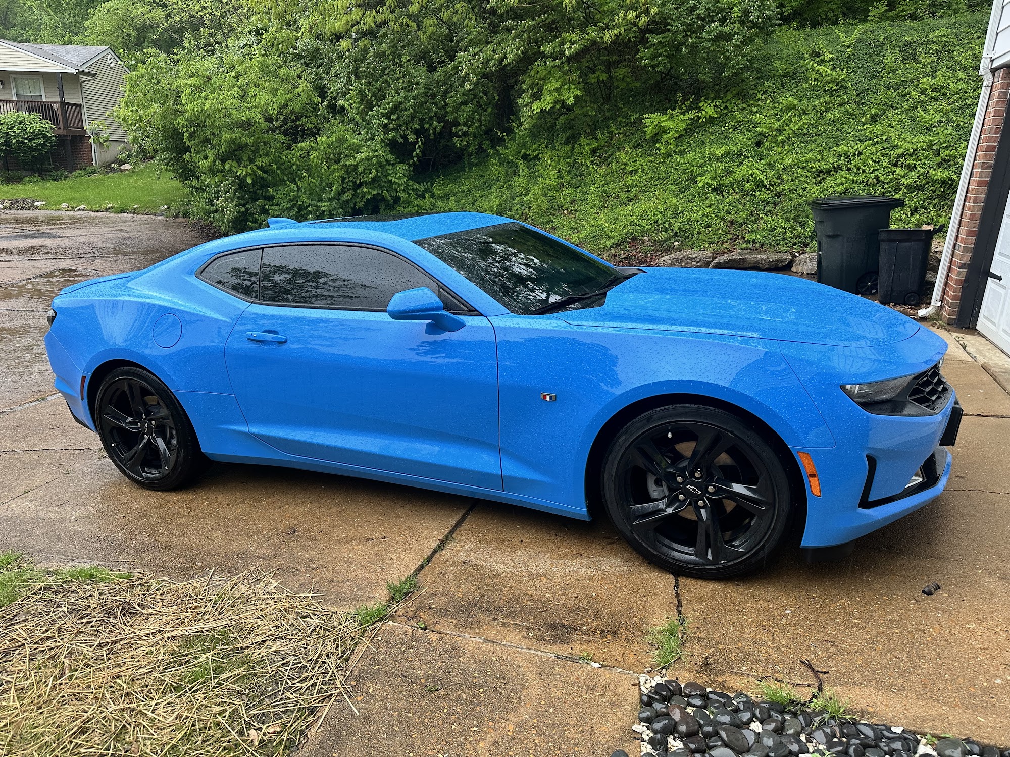 Biehle's Dent Repair Specialist - Paintless Dent Repair