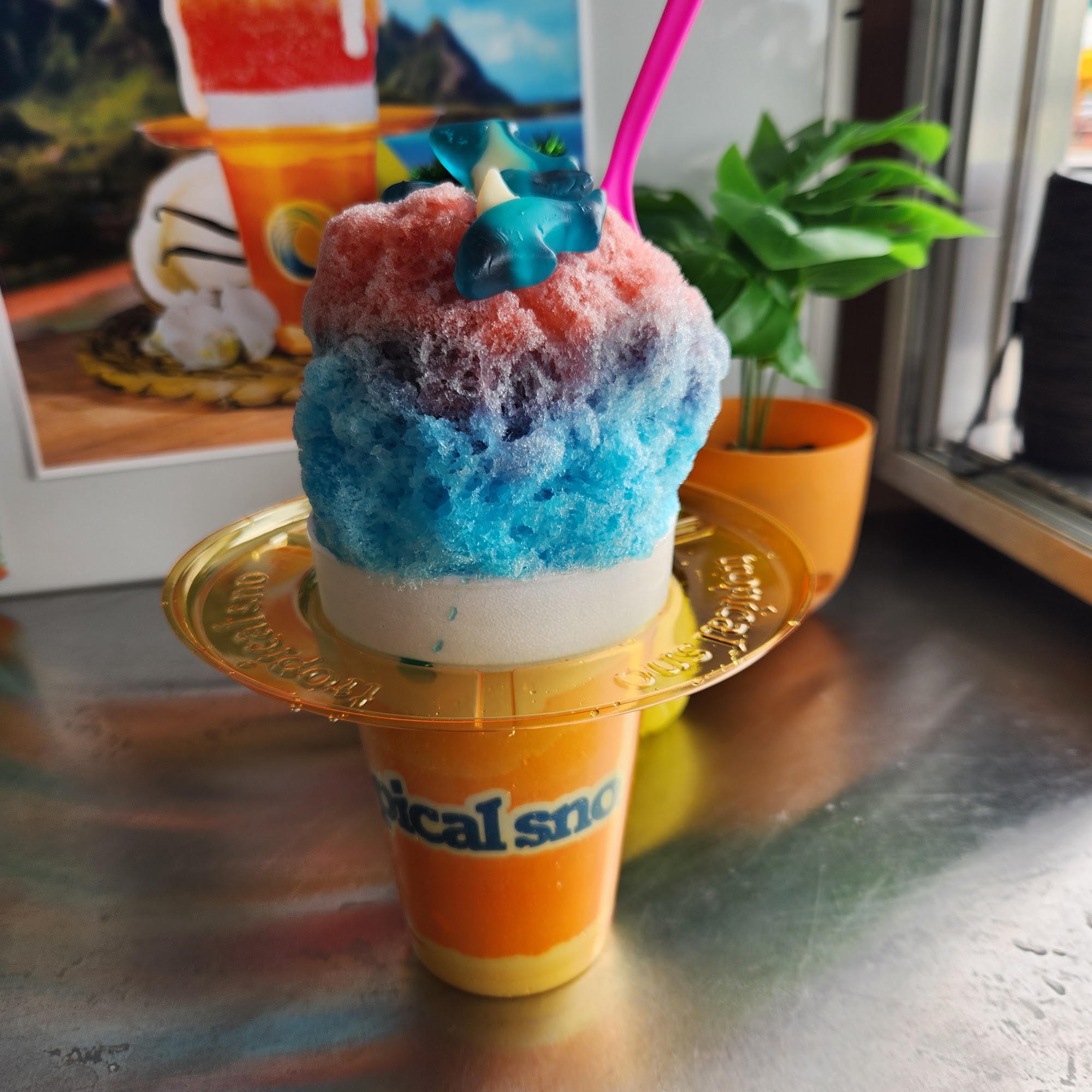 Tropical Sno Festus 660B S Truman Blvd, Festus