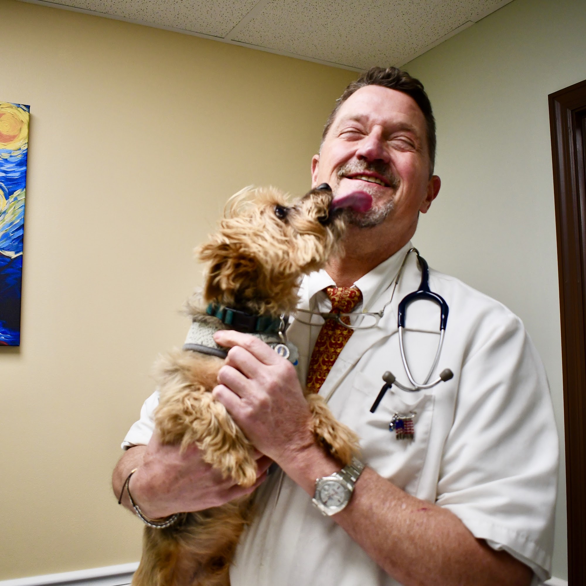 Cross Keys Animal Clinic Florissant