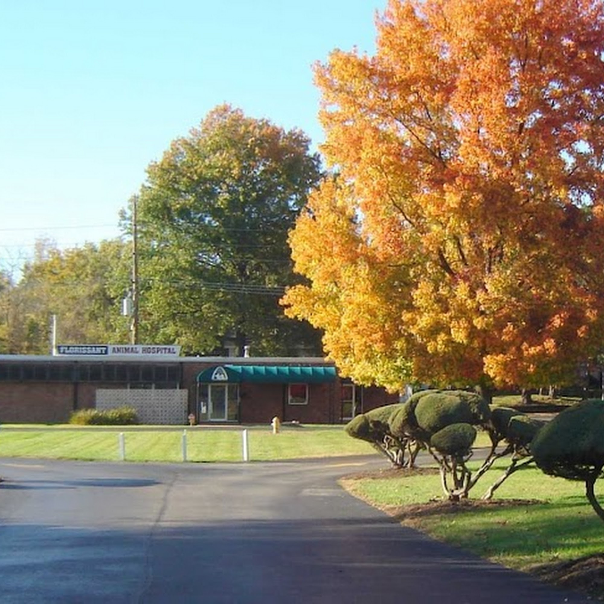 Florissant Animal Hospital Florissant