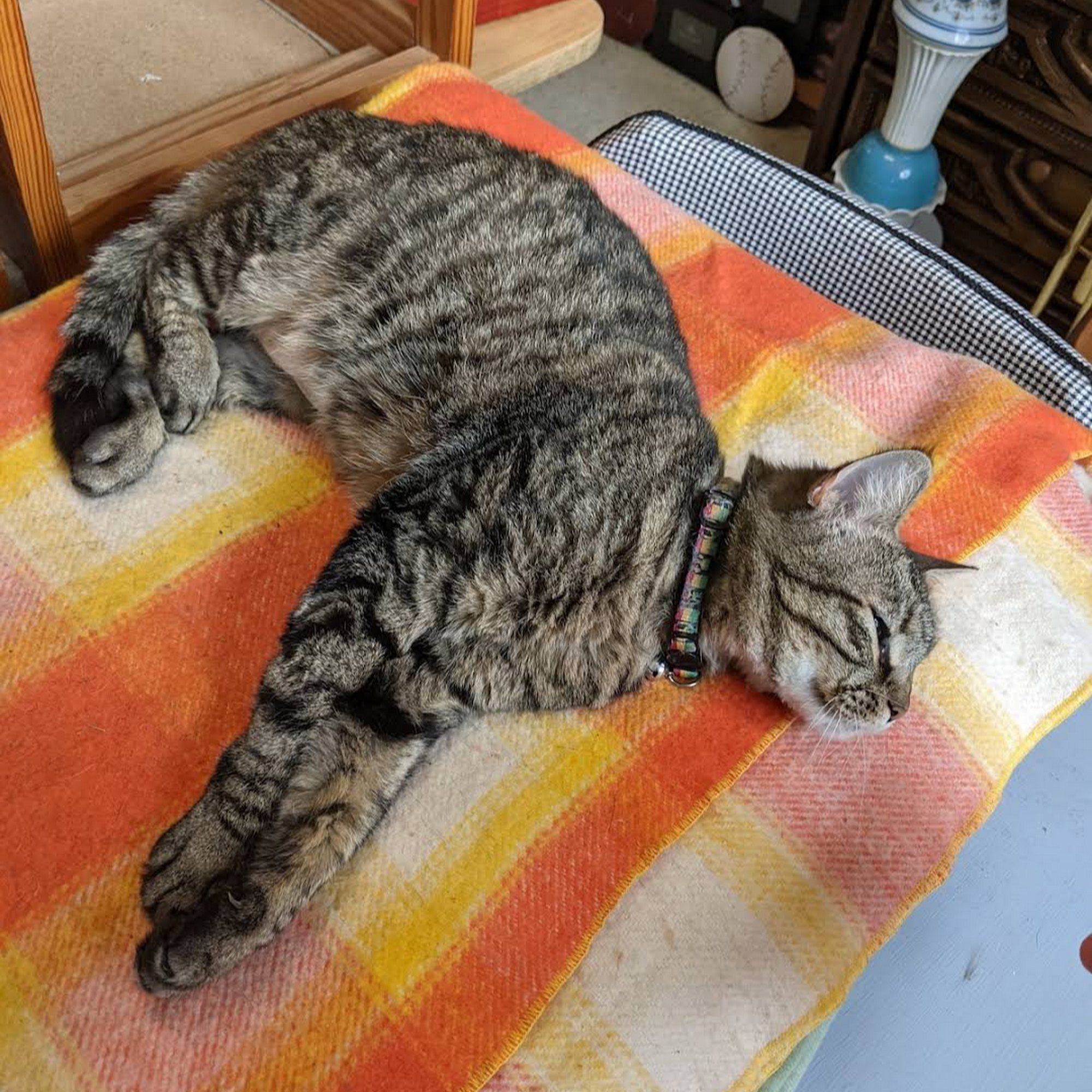 Main Street memories 123 west main Fredericktown