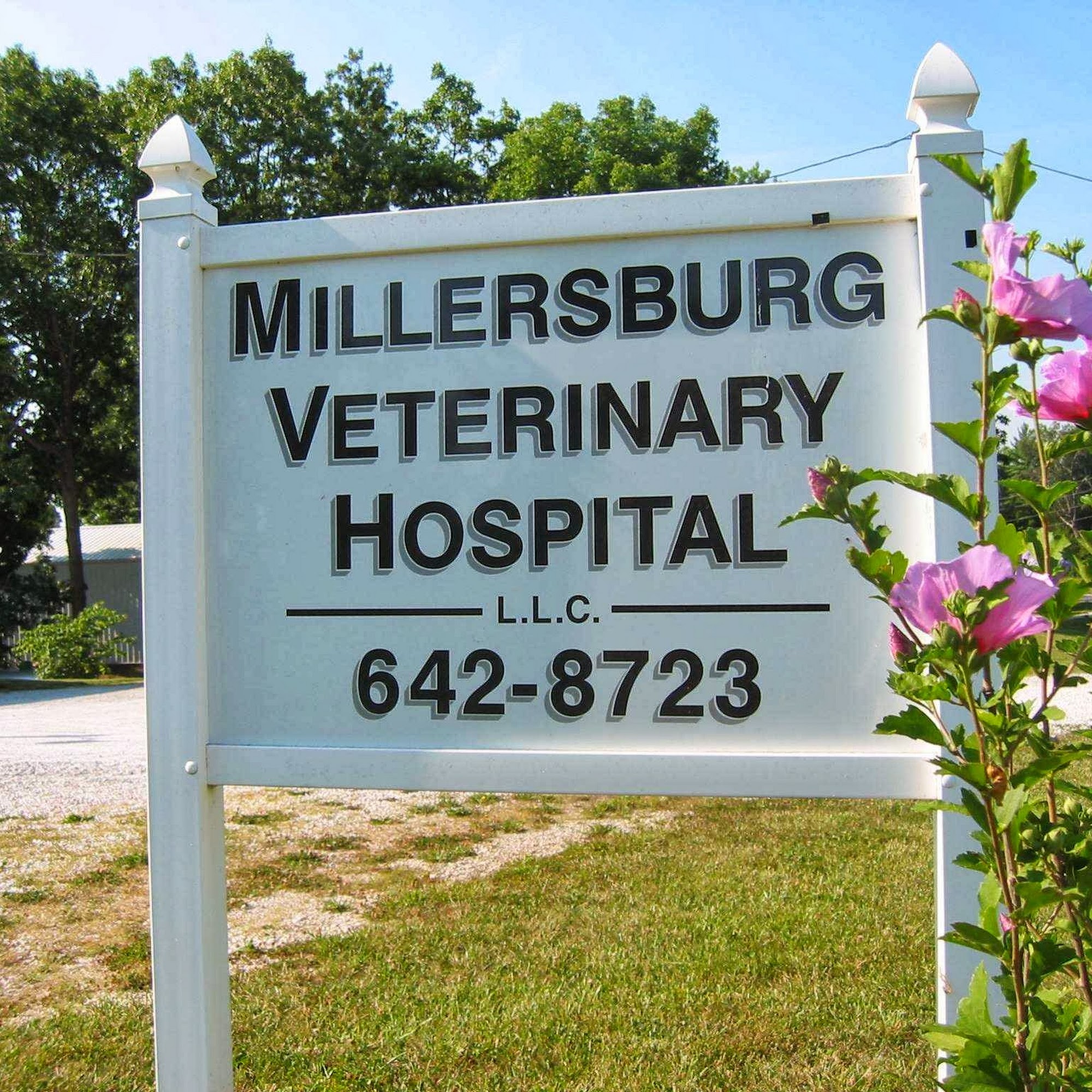 Millersburg Veterinary Hospital Fulton