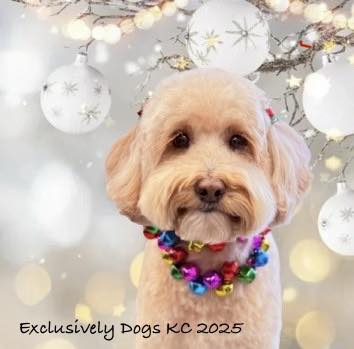 Exclusively Dogs KC Grain Valley