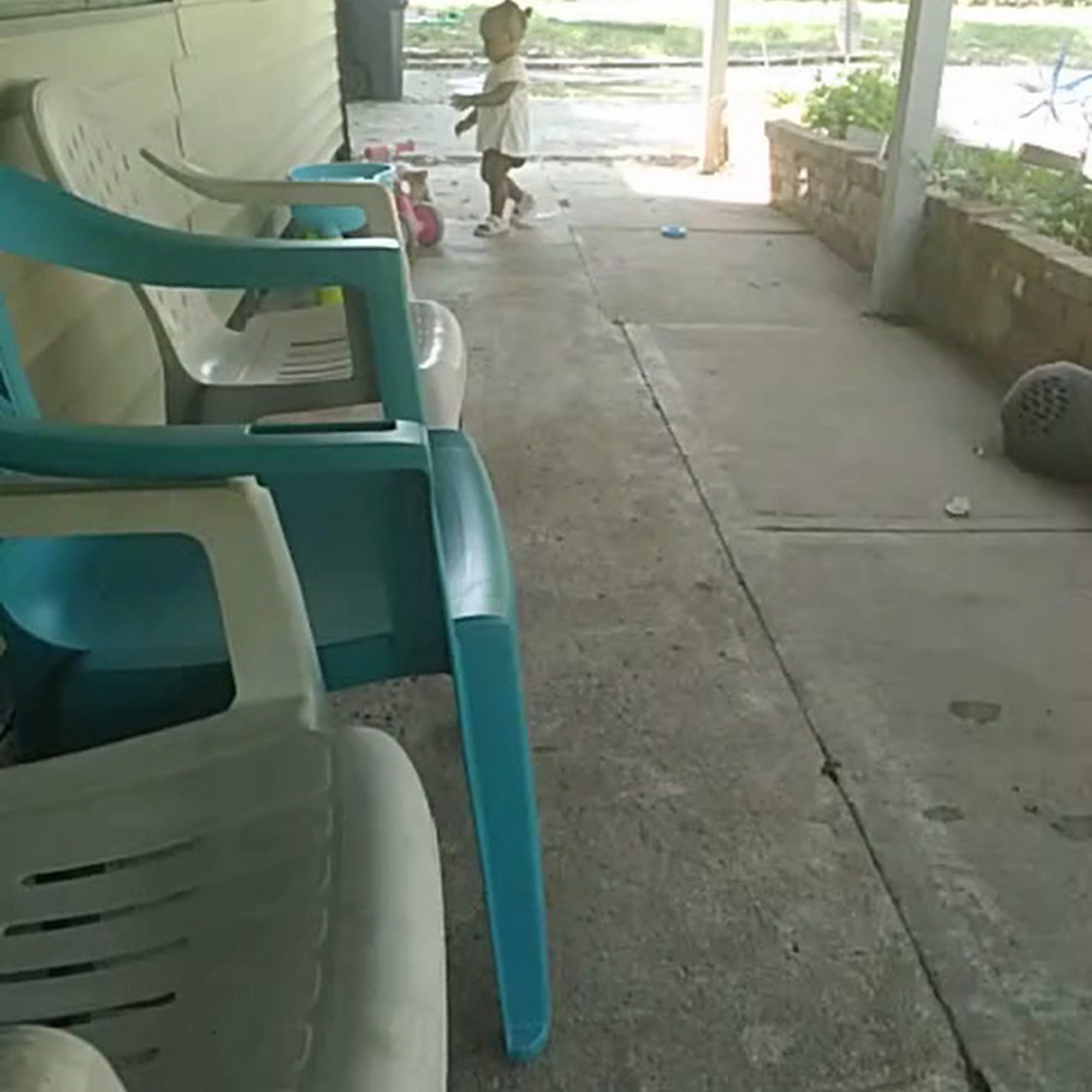 Grandview Animal Hospital Grandview