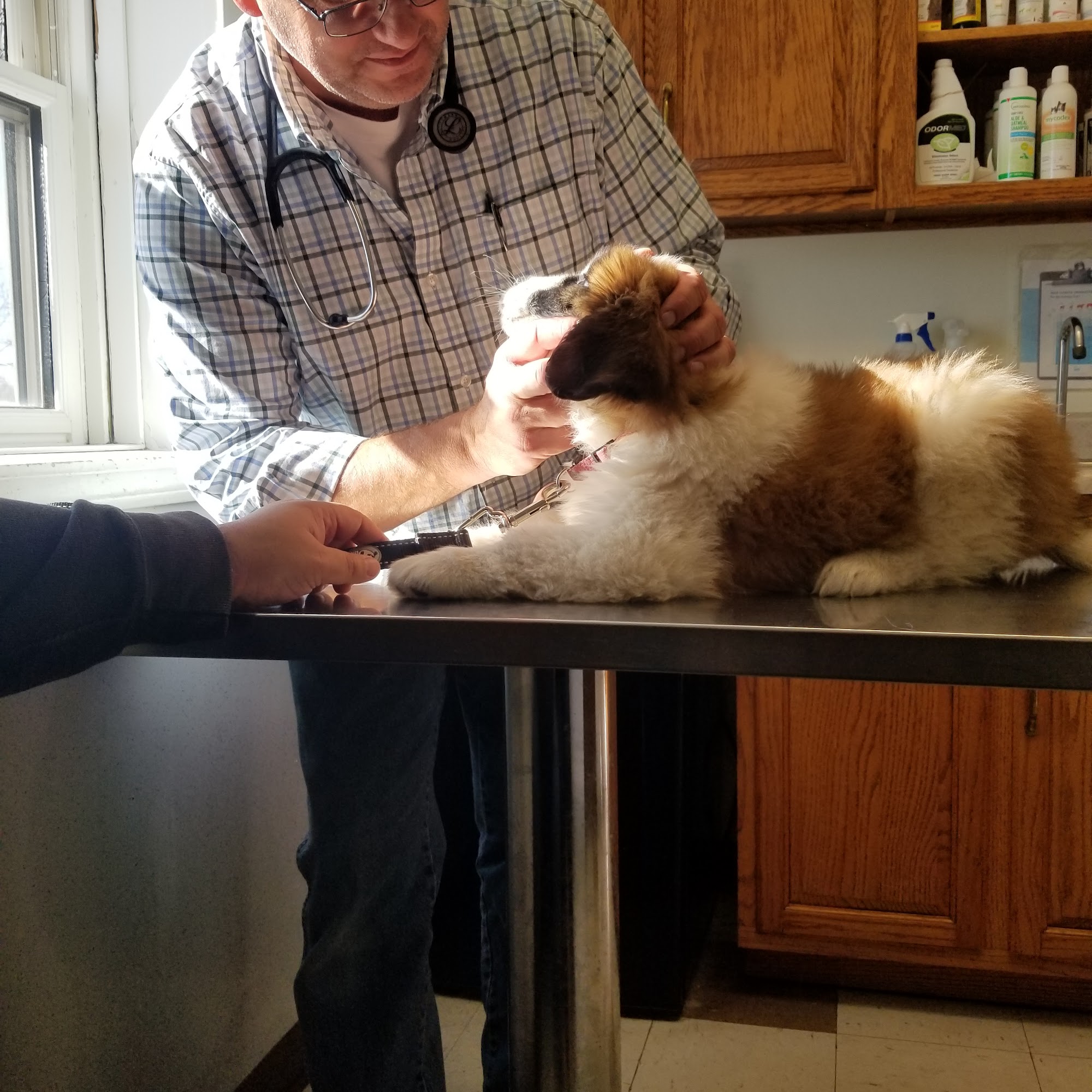 General Veterinary Clinic Hannibal