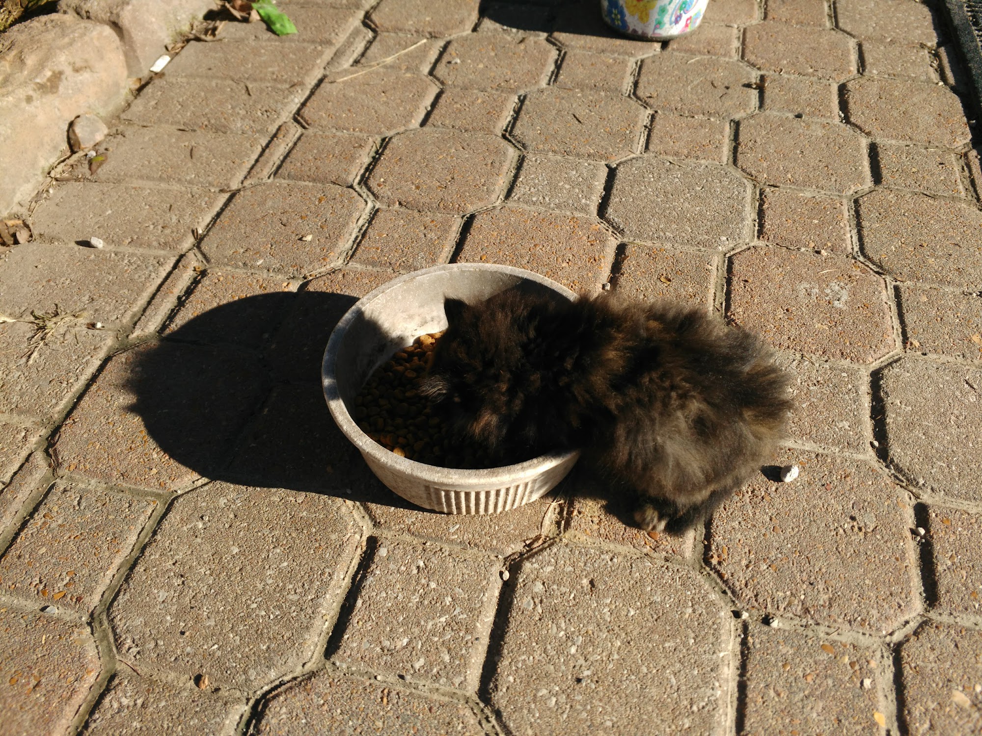 A Waldbart & Sons Nursery Hazelwood