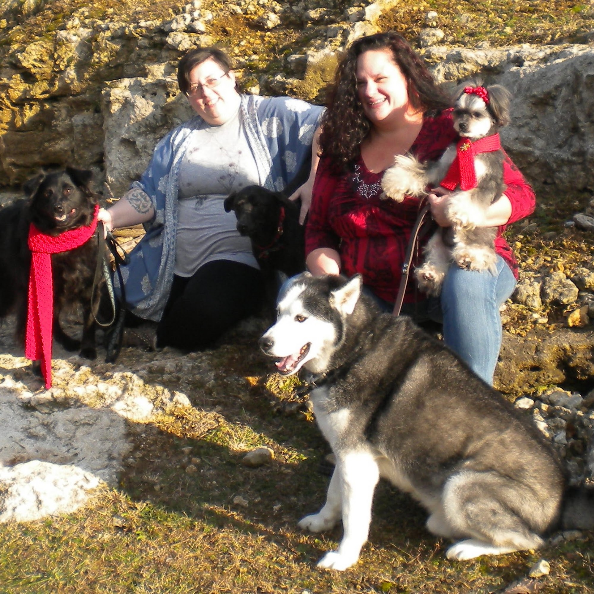 TLC Pet Services LLC Herculaneum