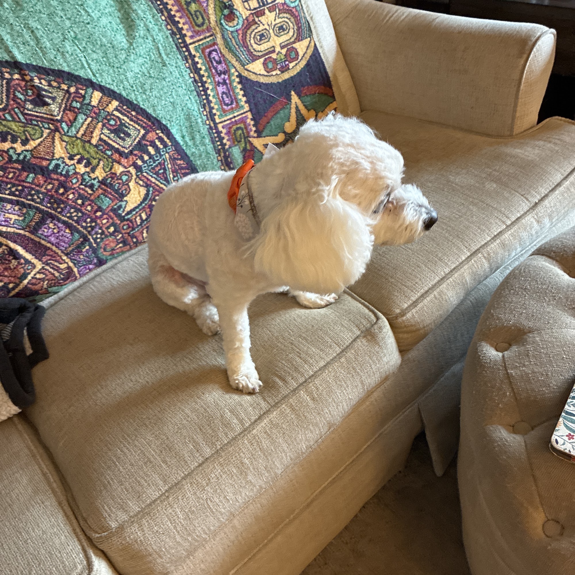 Nancy Crane's Family Pet Care High Ridge