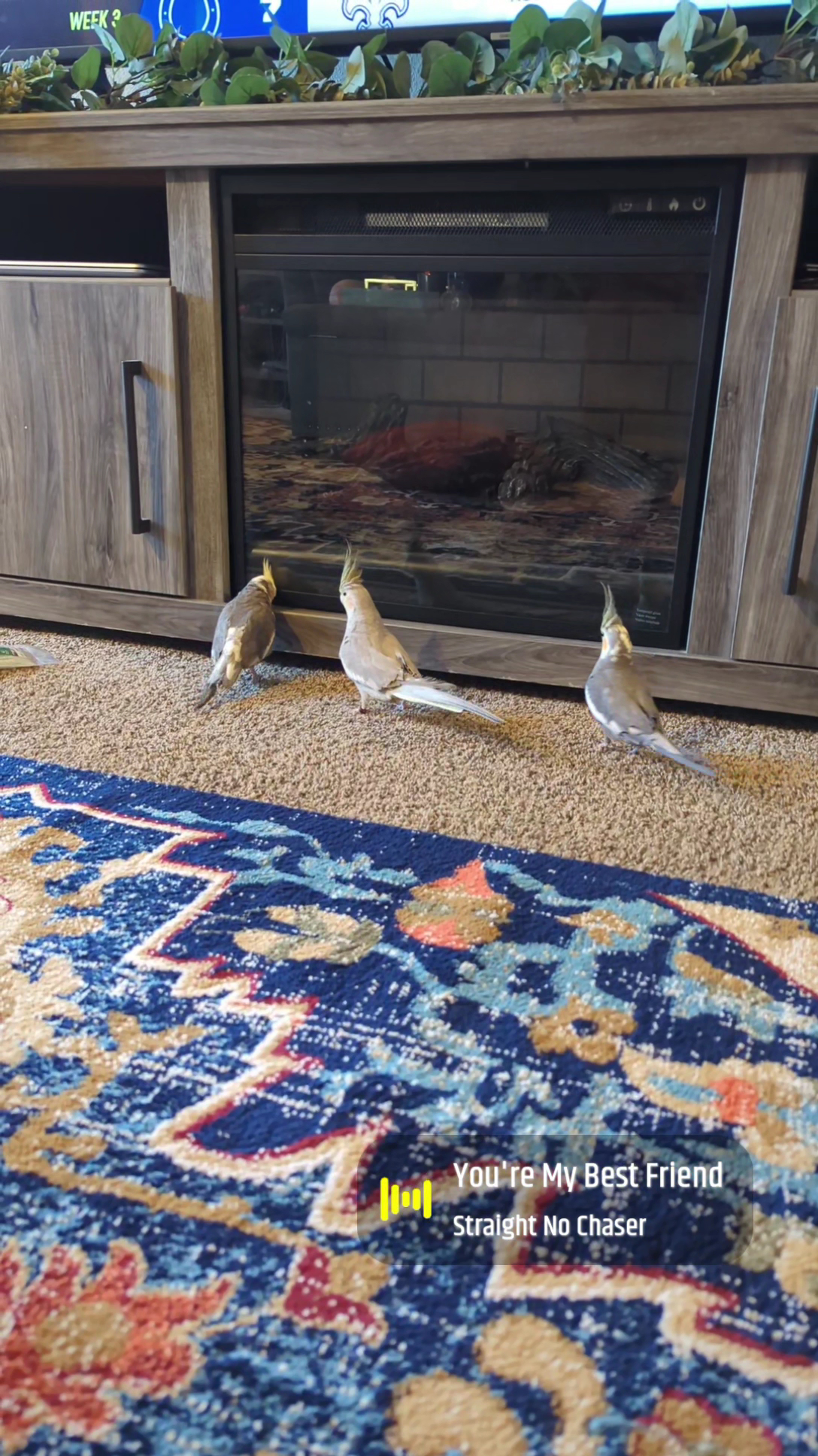 John’s Exotic Pet Store Independence