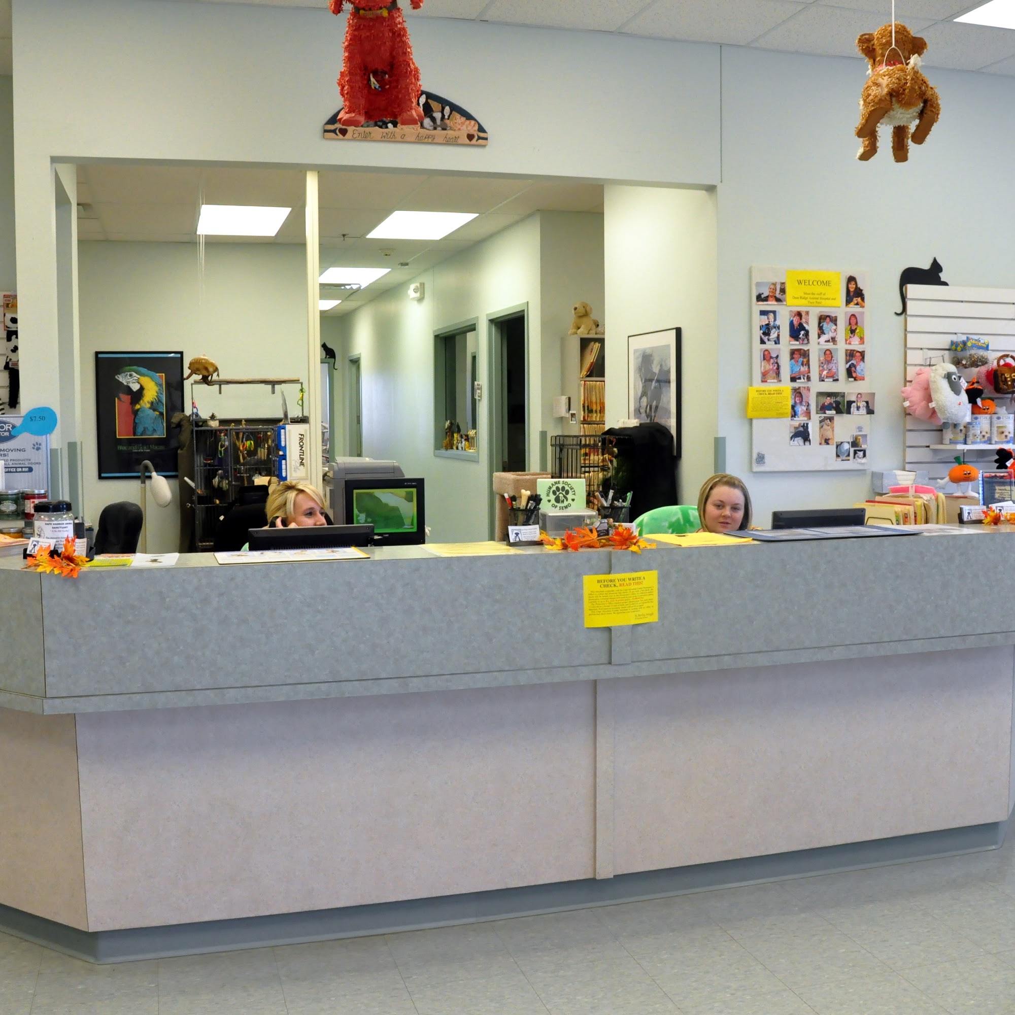 Deer Ridge Animal Hospital Jackson