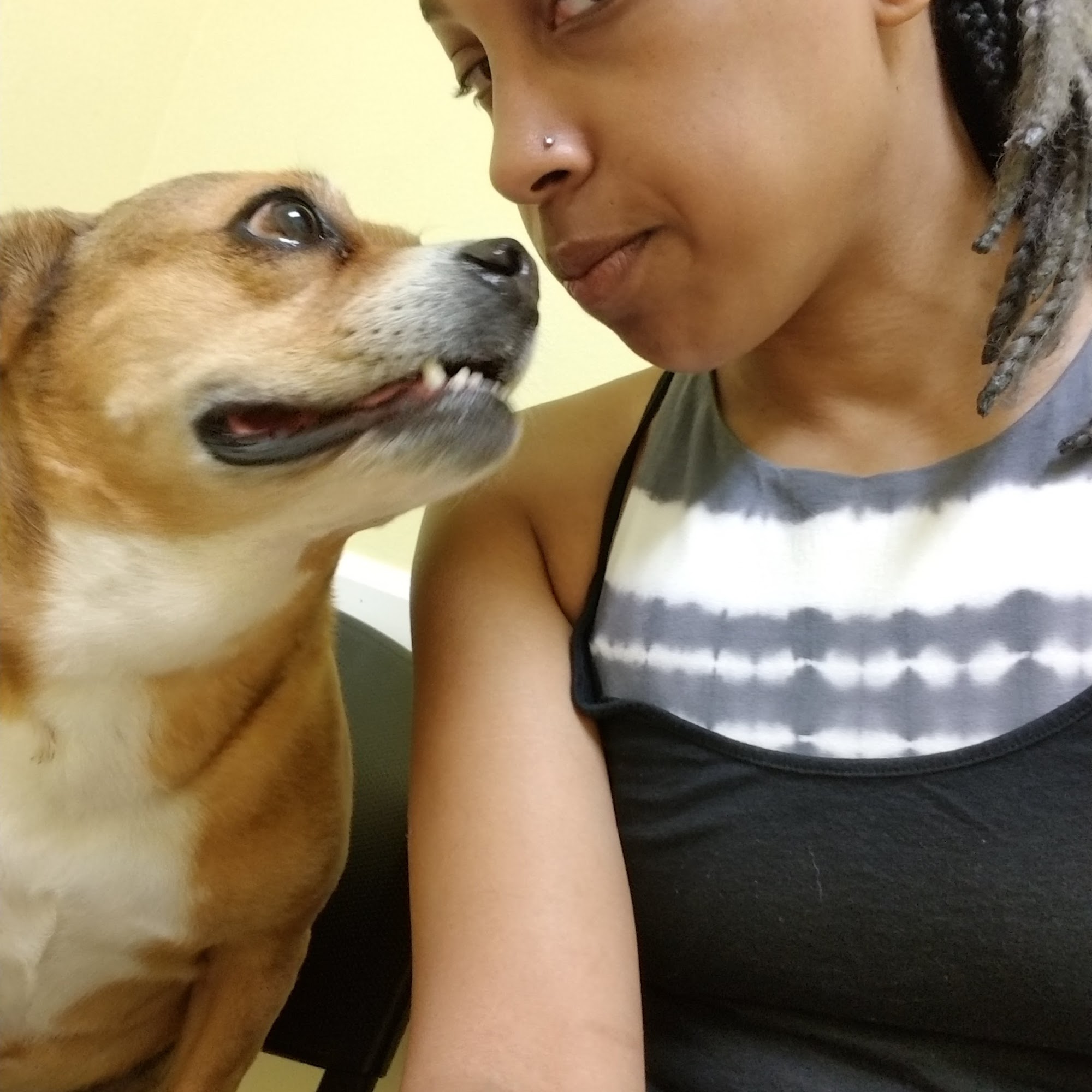 Heartland Veterinary Care Jackson