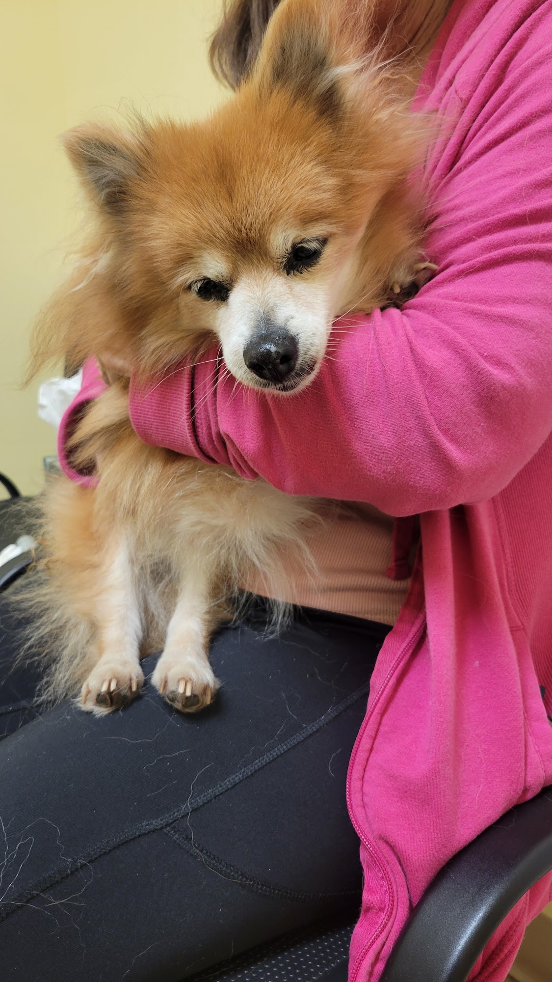 Heartland Veterinary Care Jackson