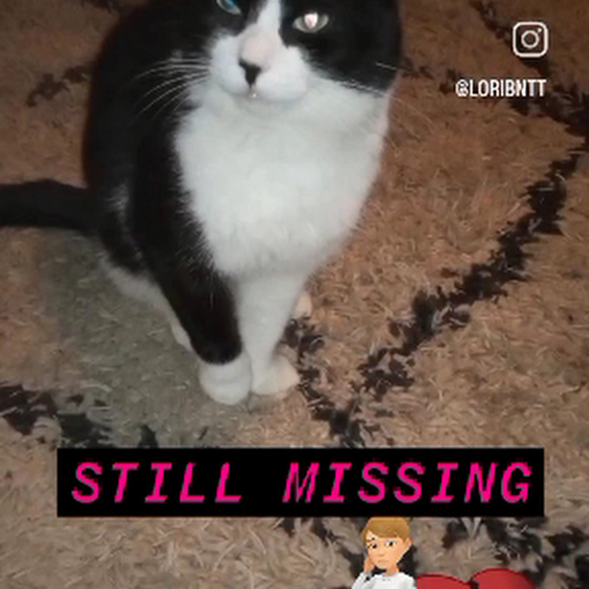 Safe Harbor Animal Sanctuary Jackson