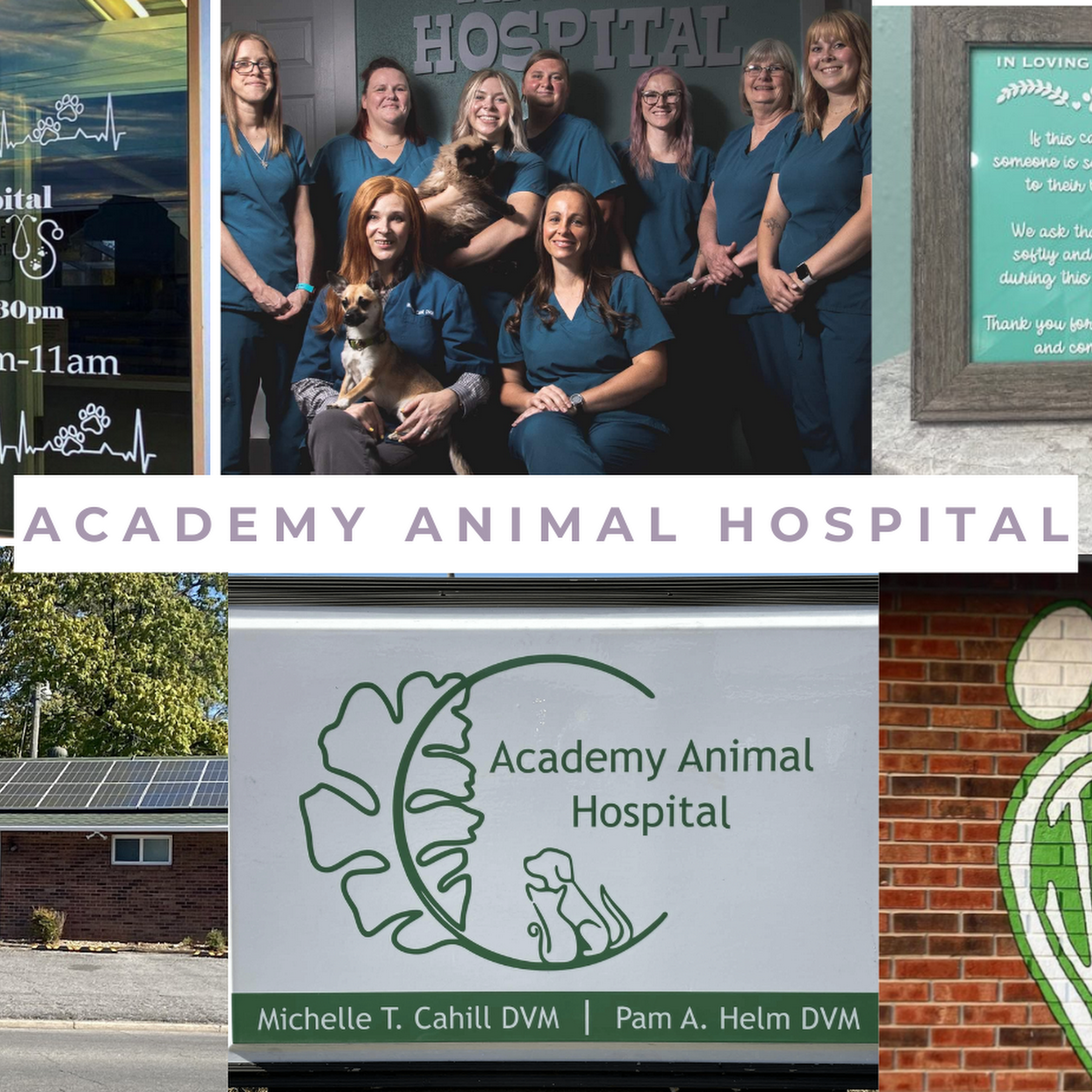 Academy Animal Hospital Joplin