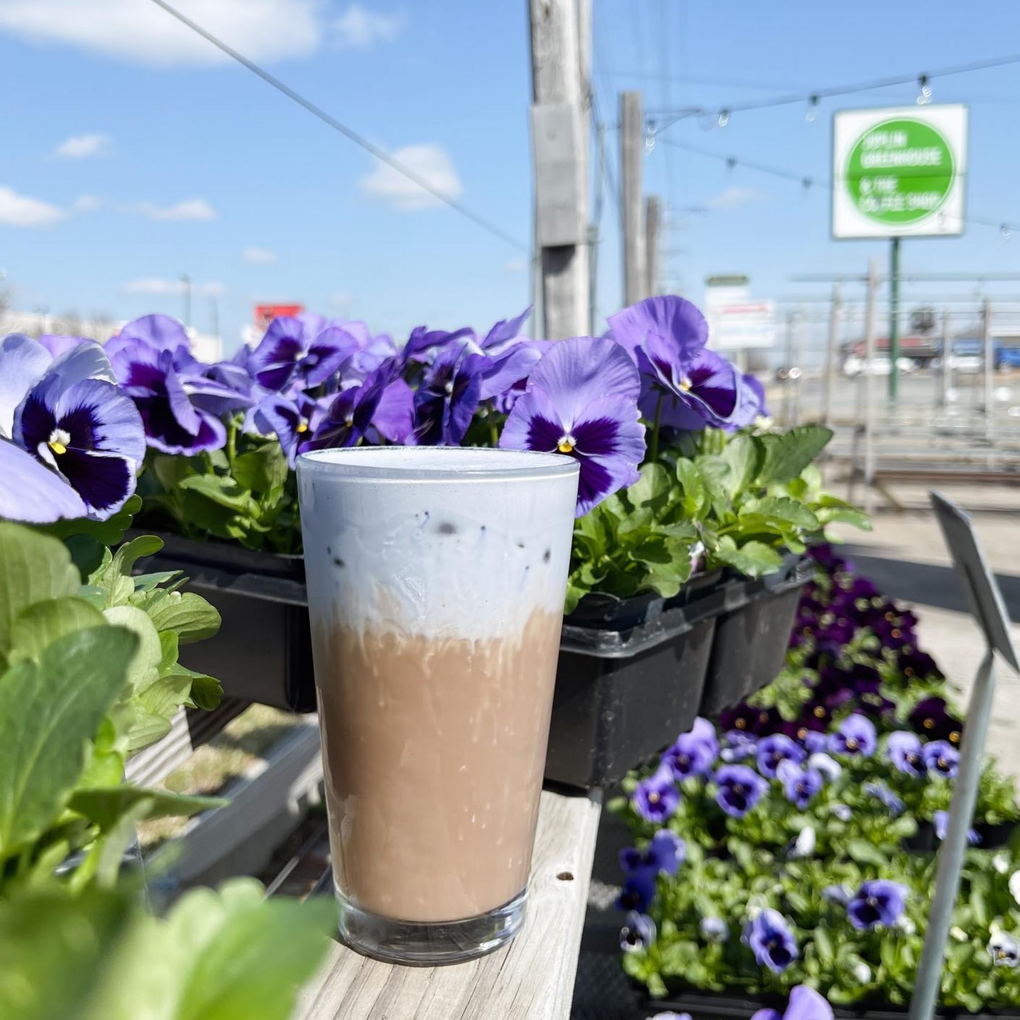 Joplin Greenhouse and the Coffee Shop Joplin